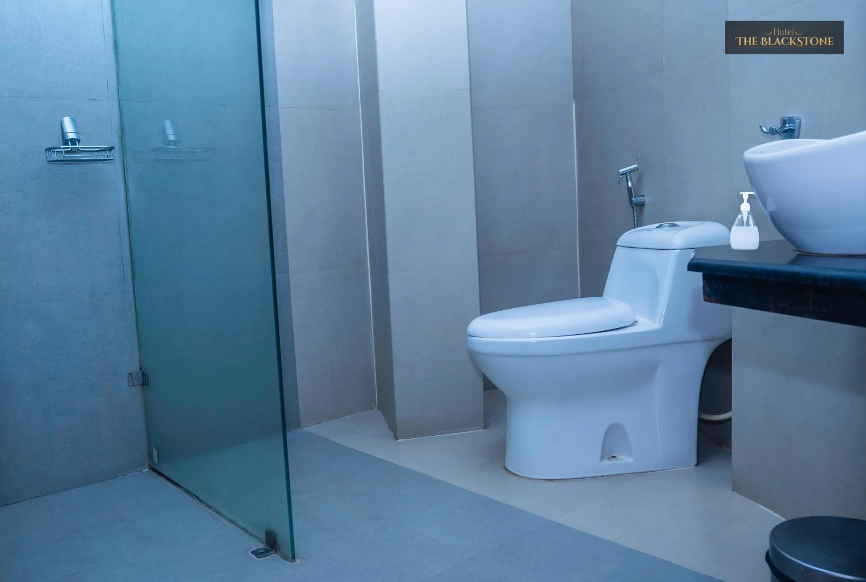 Toilet in Hotel The Black Stone