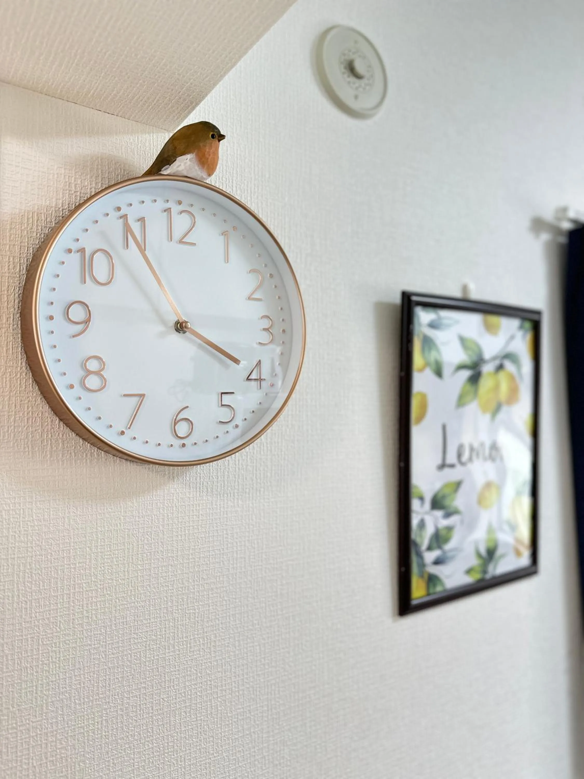 nestay apartment tokyo otsuka