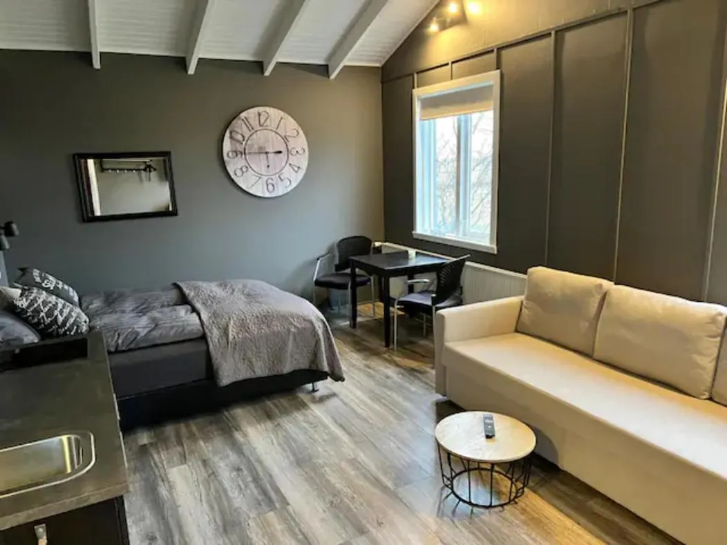 Living room in Elding Apartments