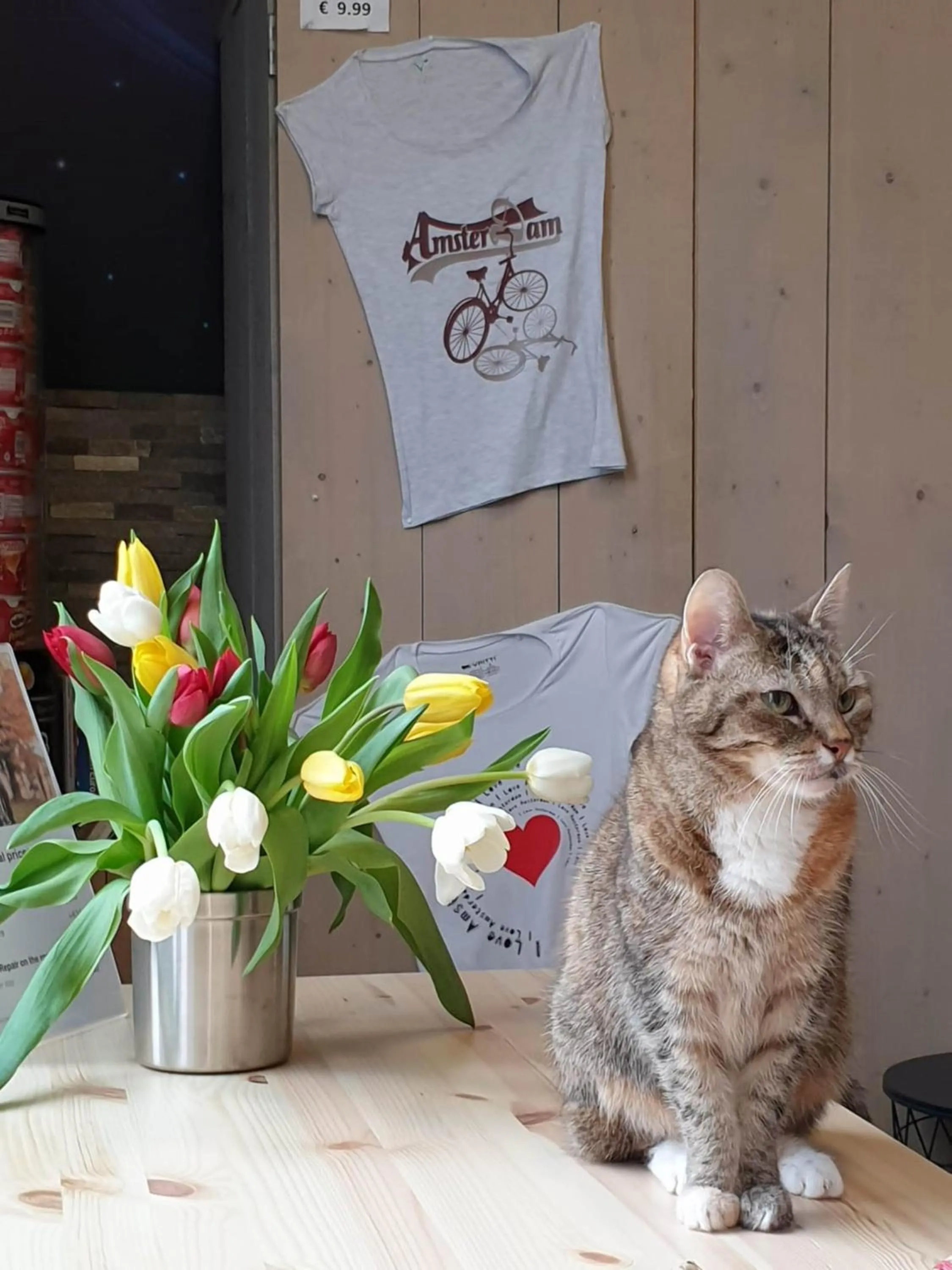 Decorative detail in Hostel Cosmos Amsterdam