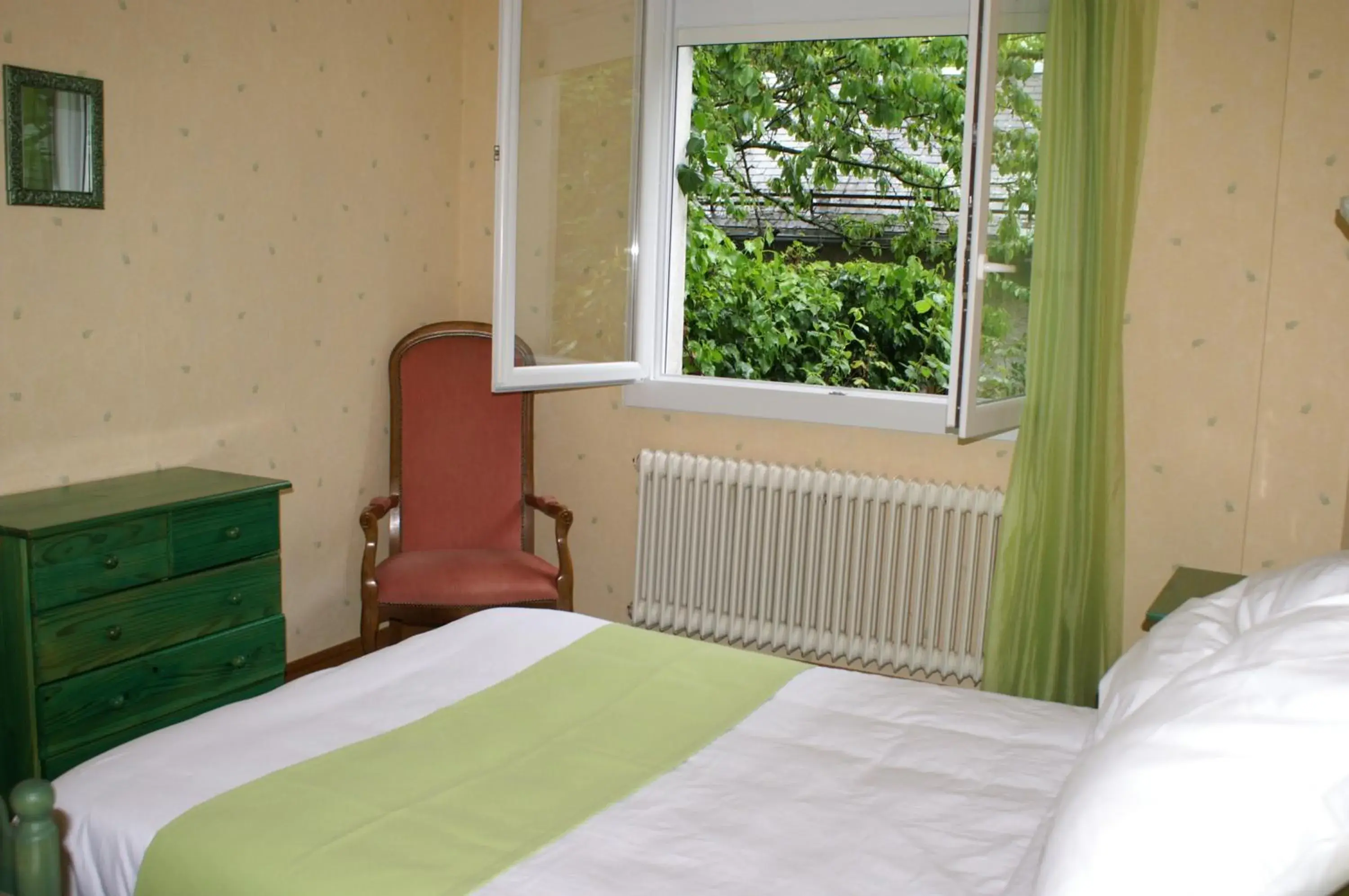 Double Room in Hôtel Céleste Double Room in Hôtel Céleste