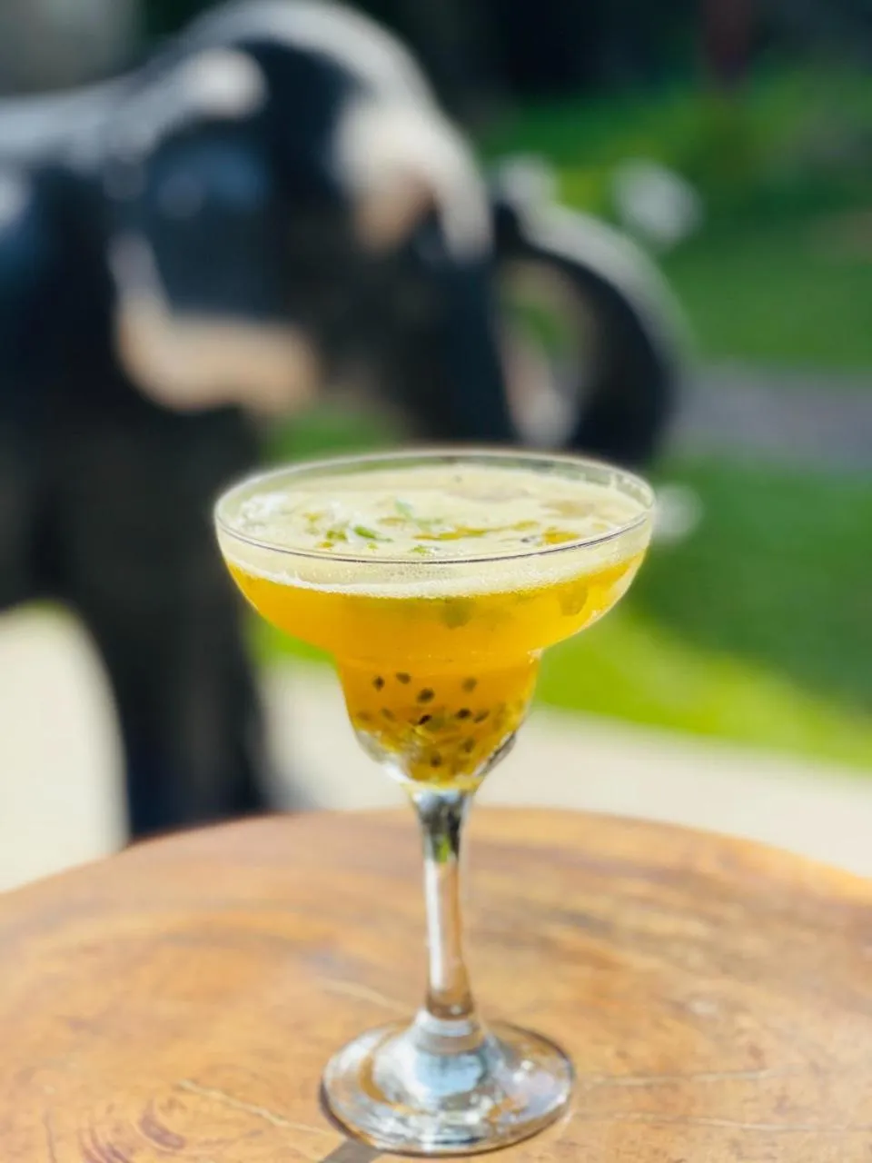 Rockside Cabanas Hotel