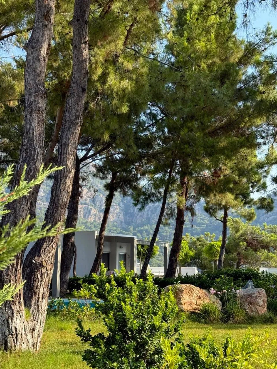 Natural landscape in Z-Villas Beach Hotel