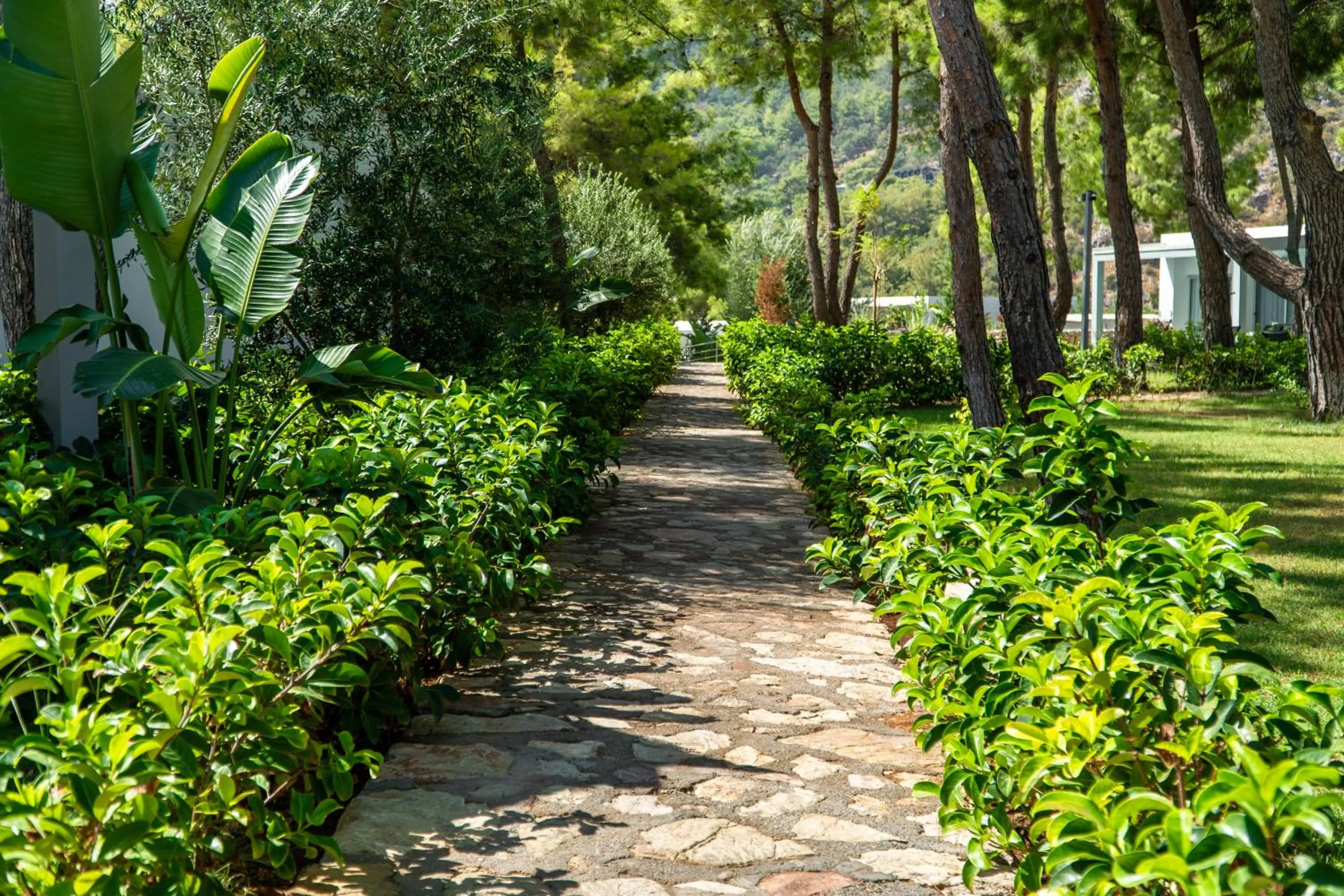 Day in Z-Villas Beach Hotel