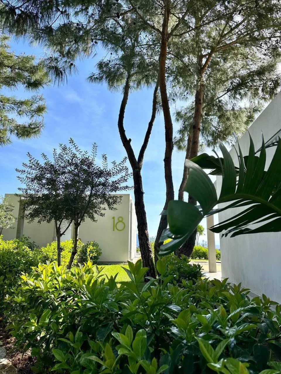 Garden in Z-Villas Beach Hotel