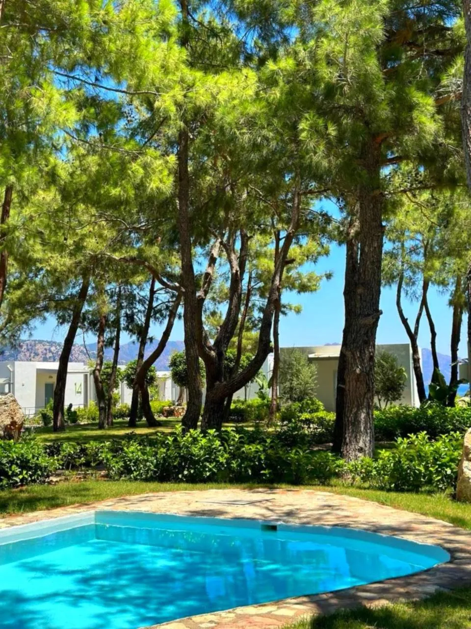 Swimming pool in Z-Villas Beach Hotel