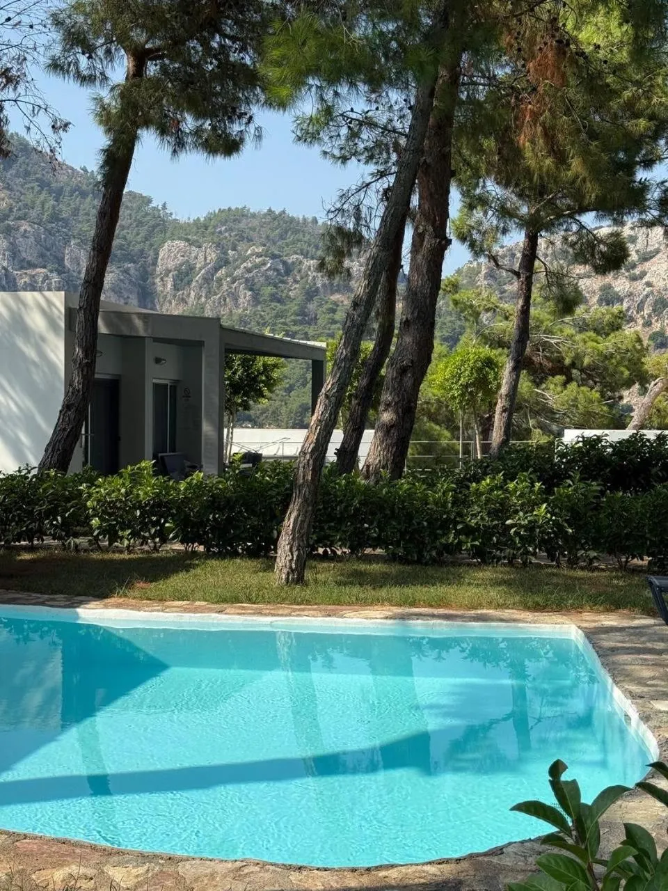 Natural landscape in Z-Villas Beach Hotel