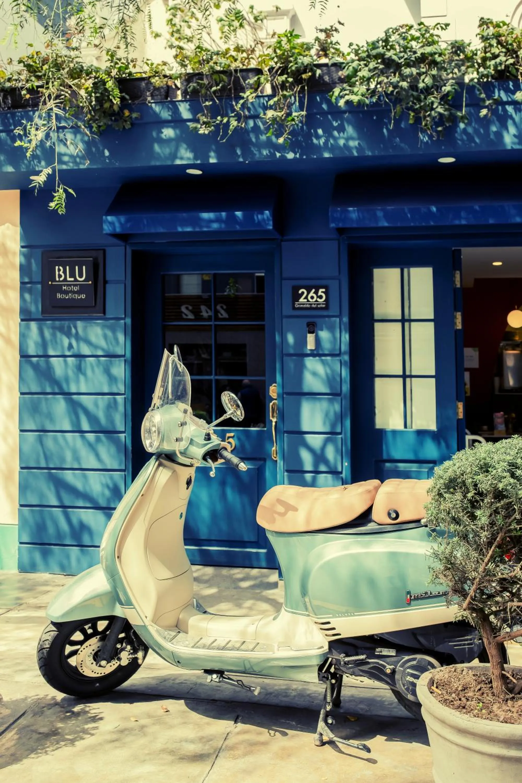 Property building in Blu Hotel Boutique