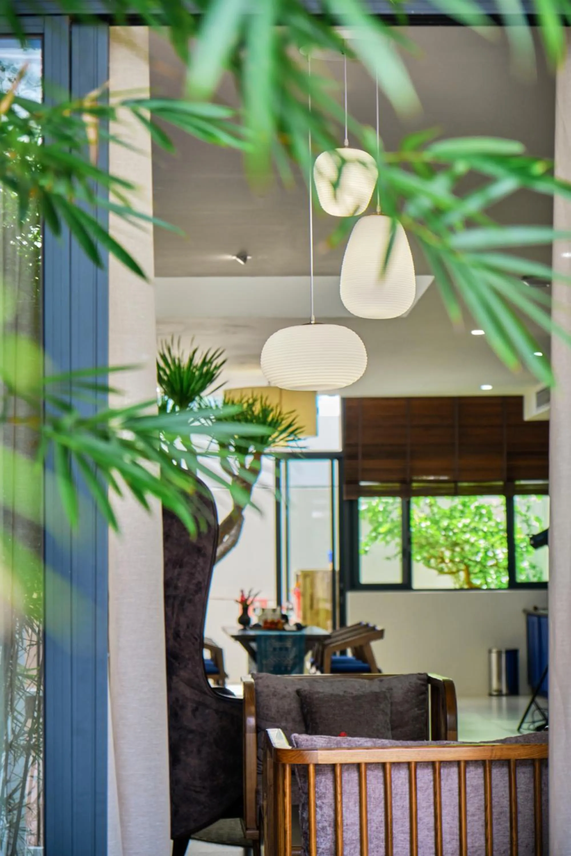 Area and facilities in The Coffee City - Healing & Retreats