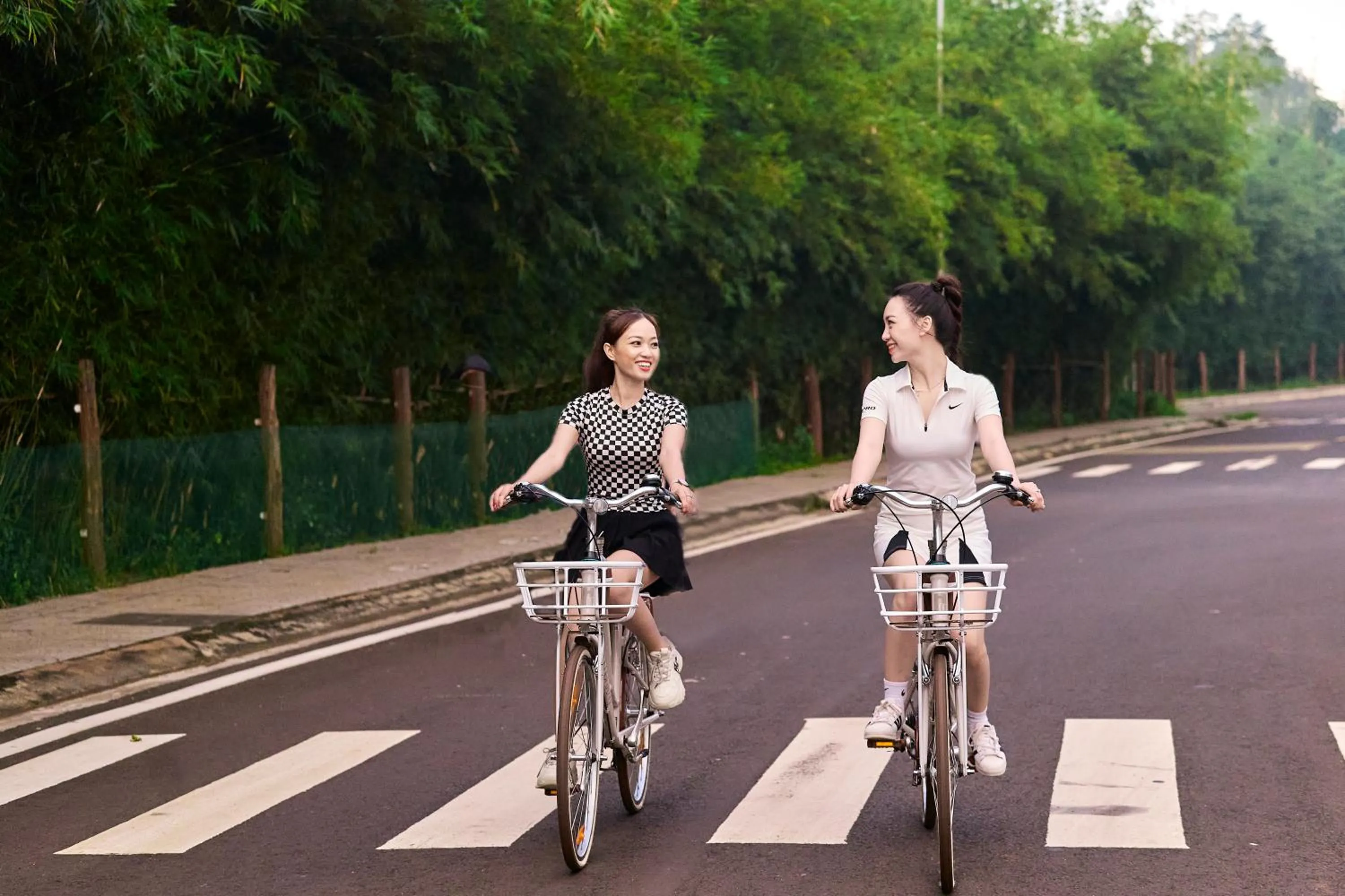 Cycling in The Coffee City - Healing & Retreats