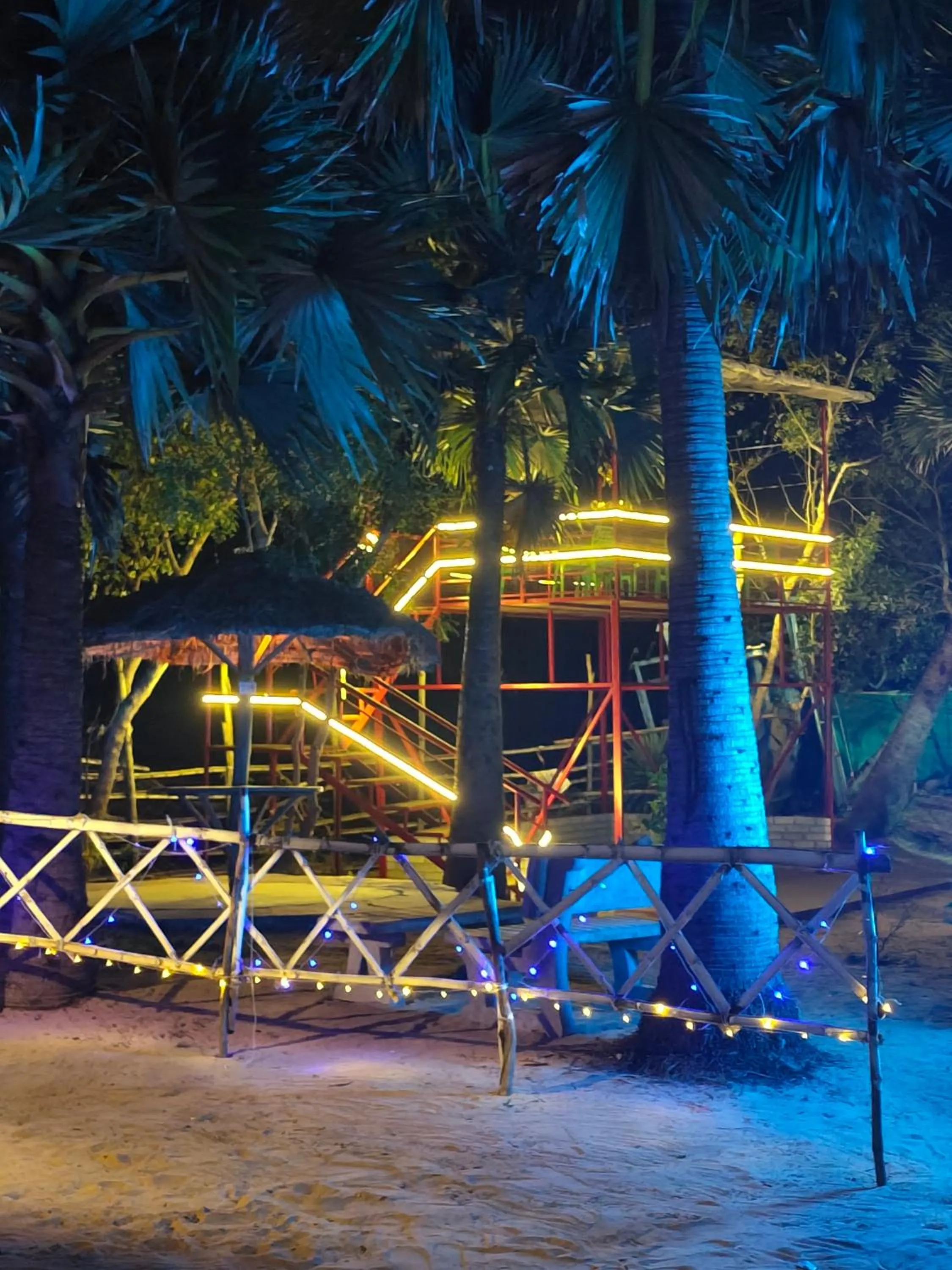 Night in Wild Dunes Konark