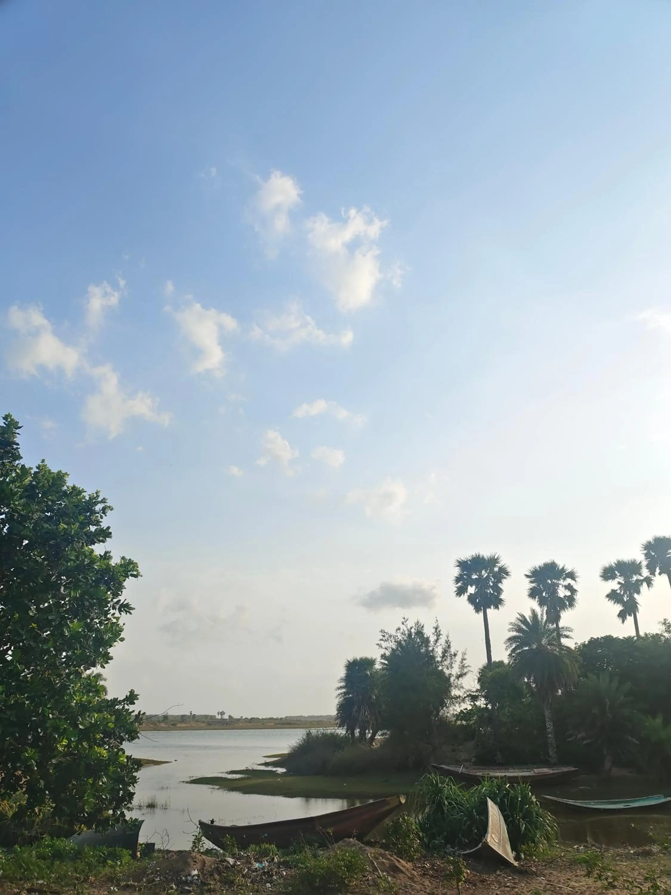 River view in Wild Dunes Konark