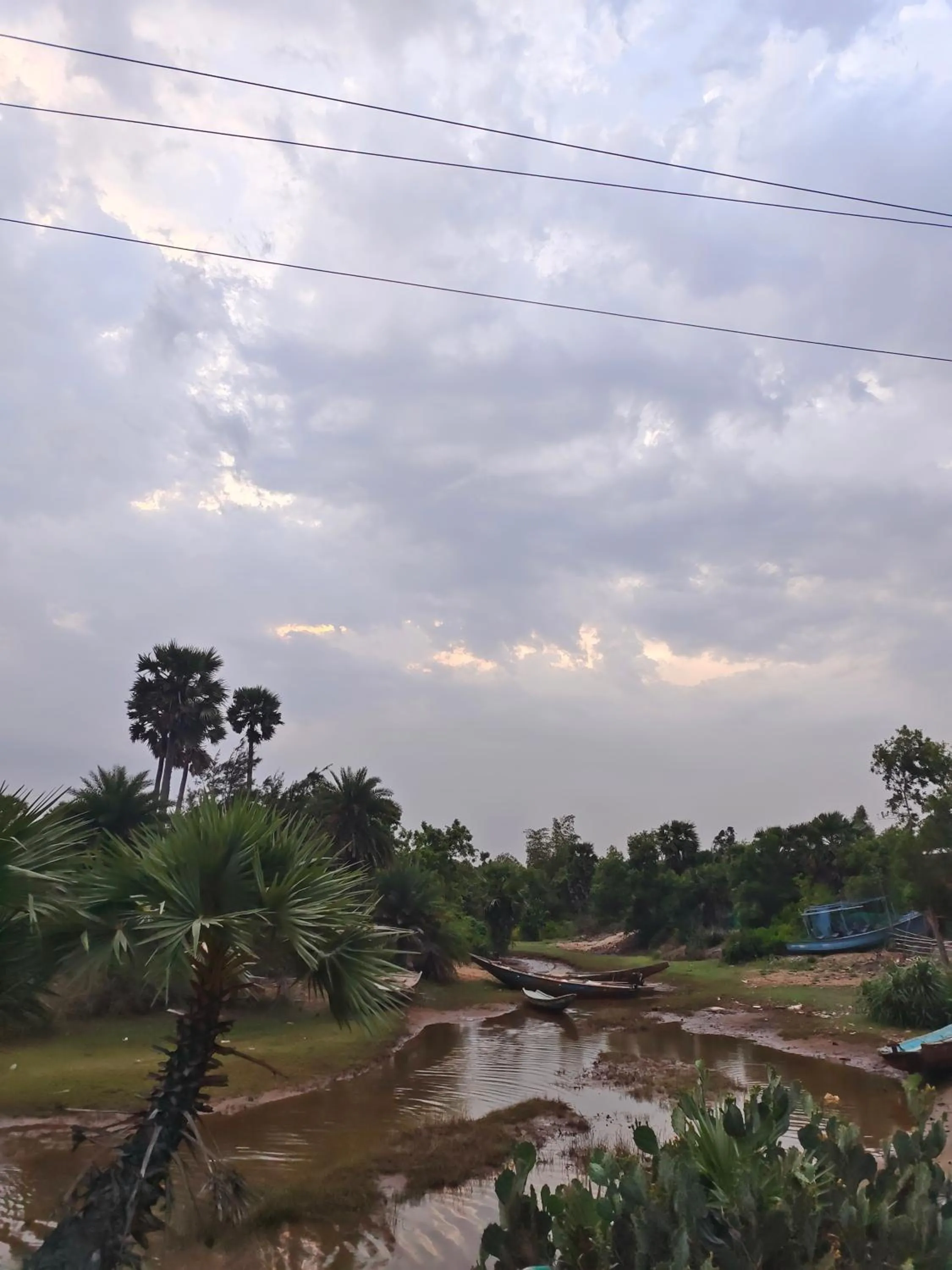 Natural landscape in Wild Dunes Konark