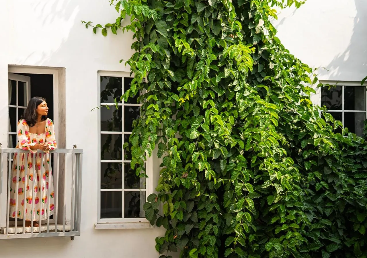 Property building in Moustache Udaipur Verandah