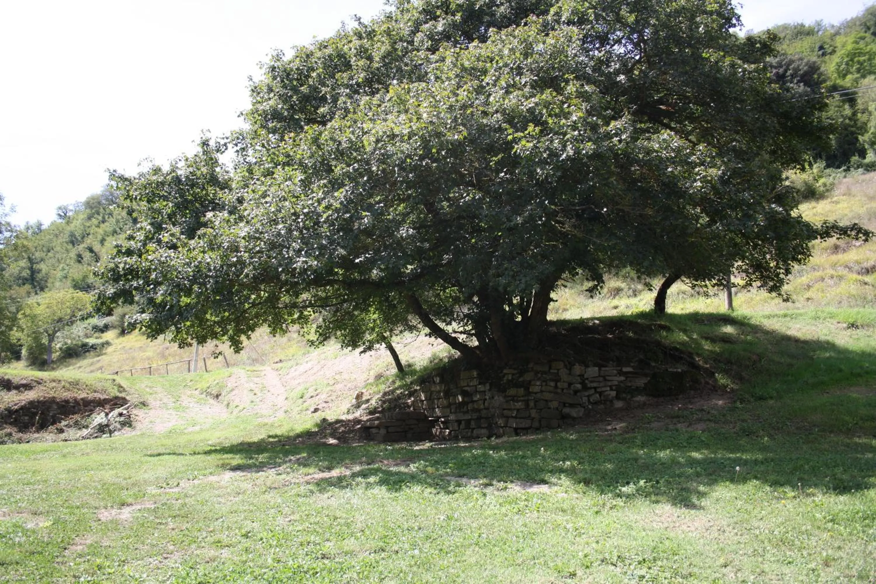 Area and facilities in Locanda Di Alberi