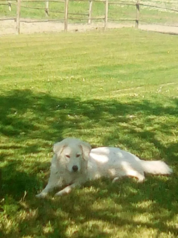 On site in Locanda Di Alberi