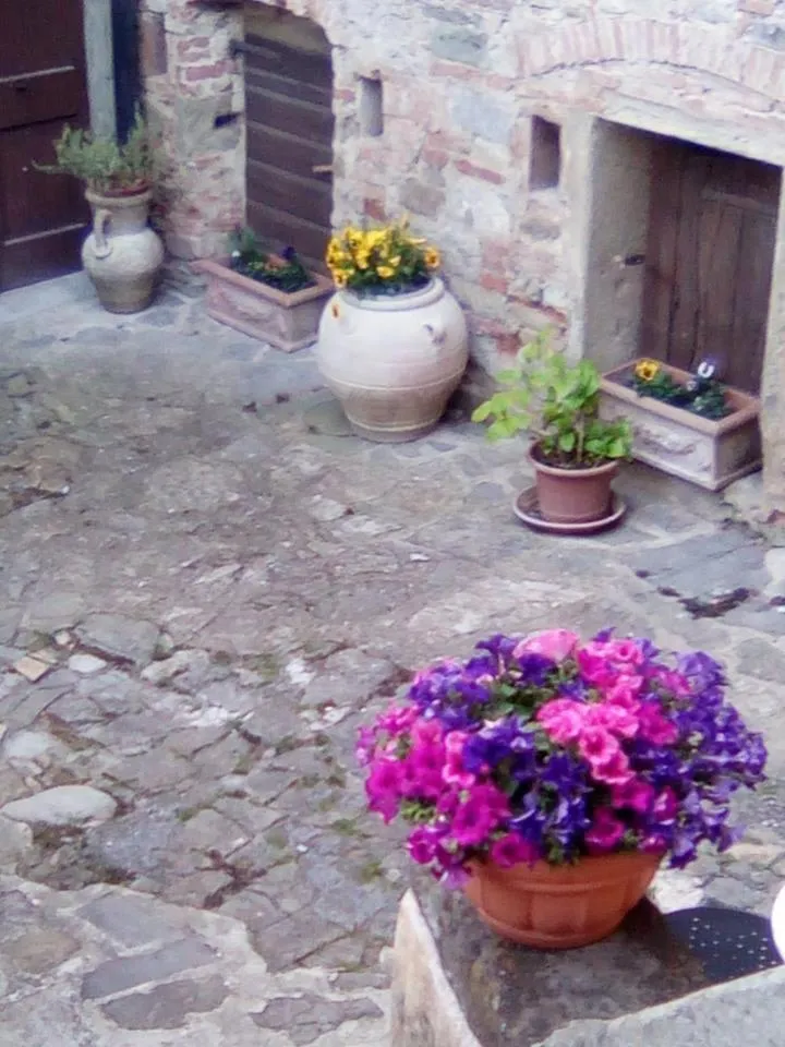 Other in Locanda Di Alberi