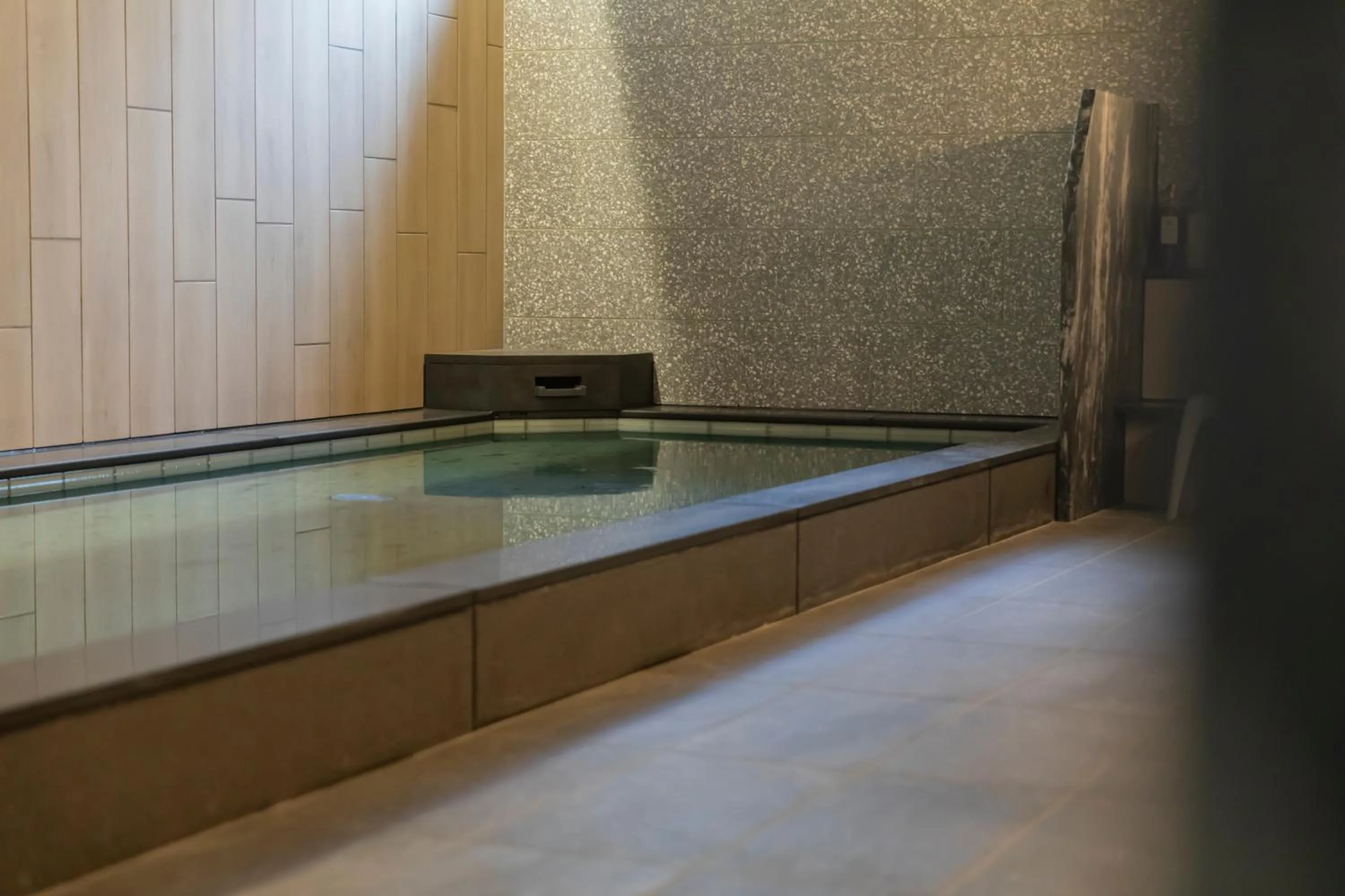 Public Bath in Kyoto Plaza Hotel Kintetsu Jujo
