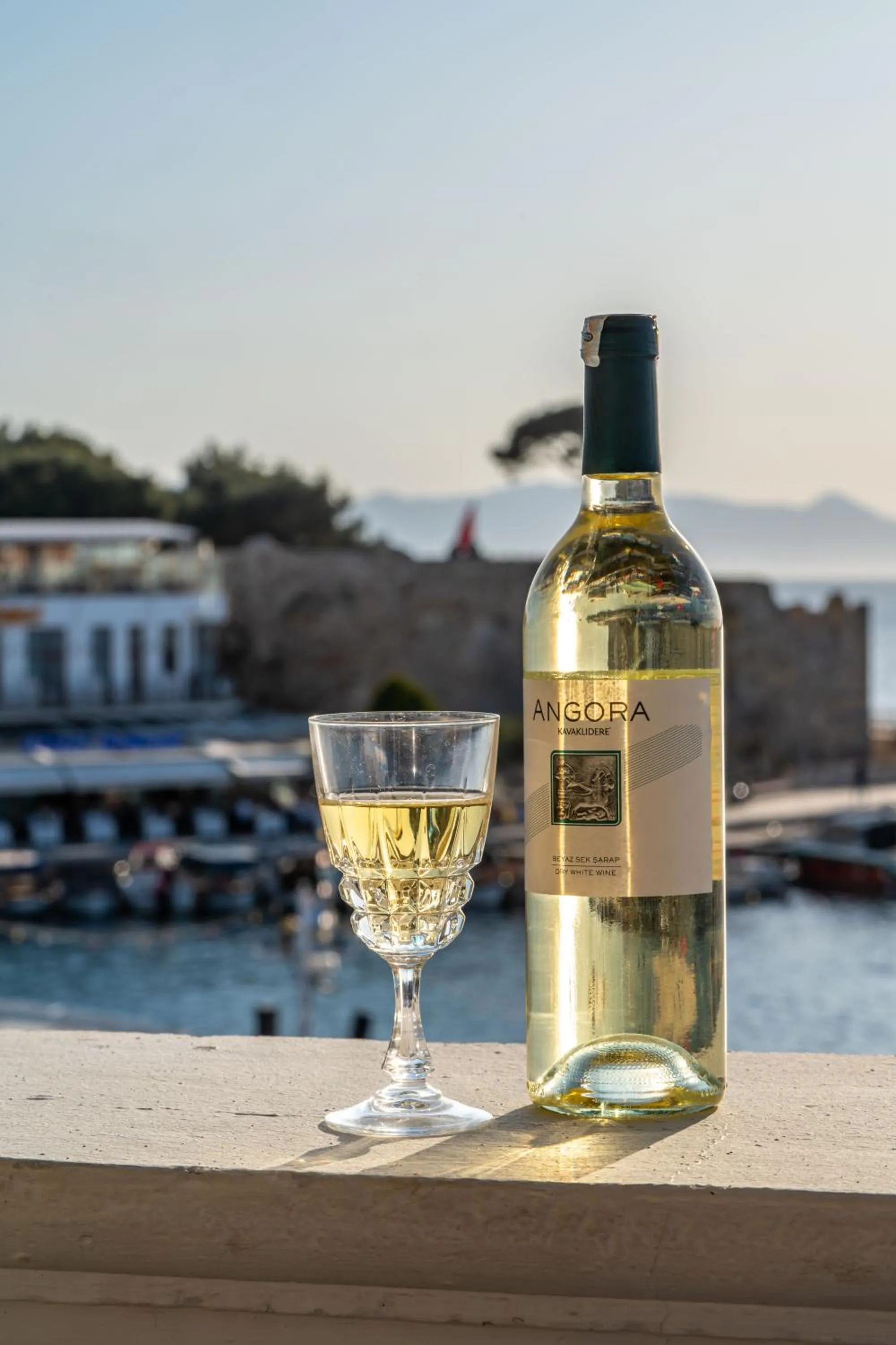 Balcony/Terrace in Hotel Karacam