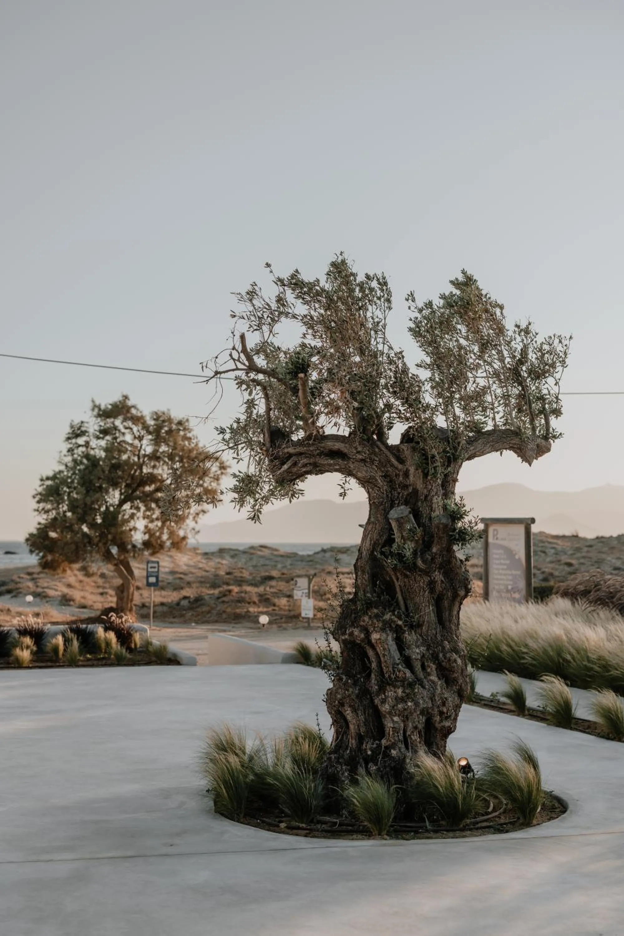 Property building in ONYM Curated Villas