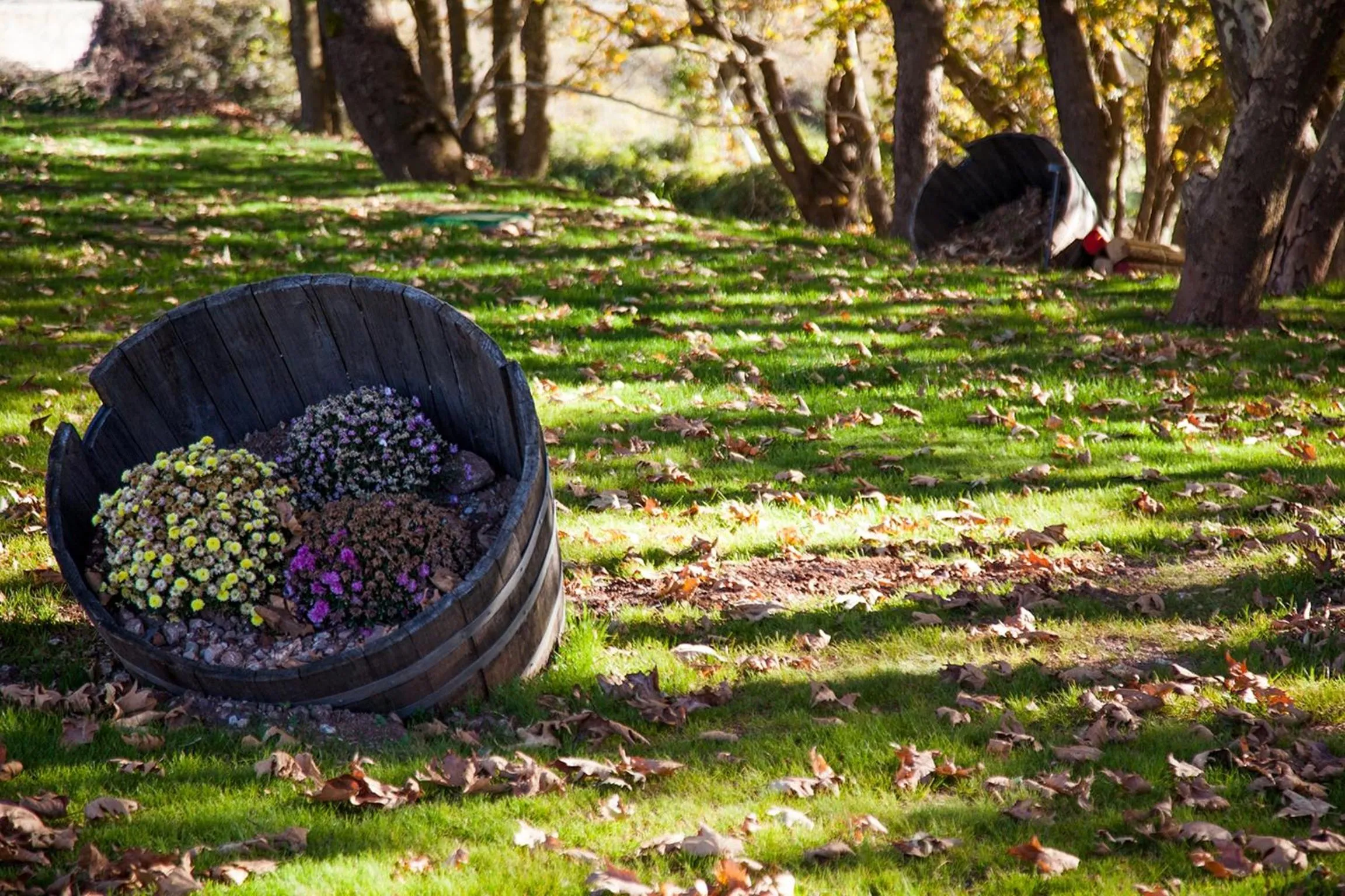 Garden in Oniropetra Boutique Hotel