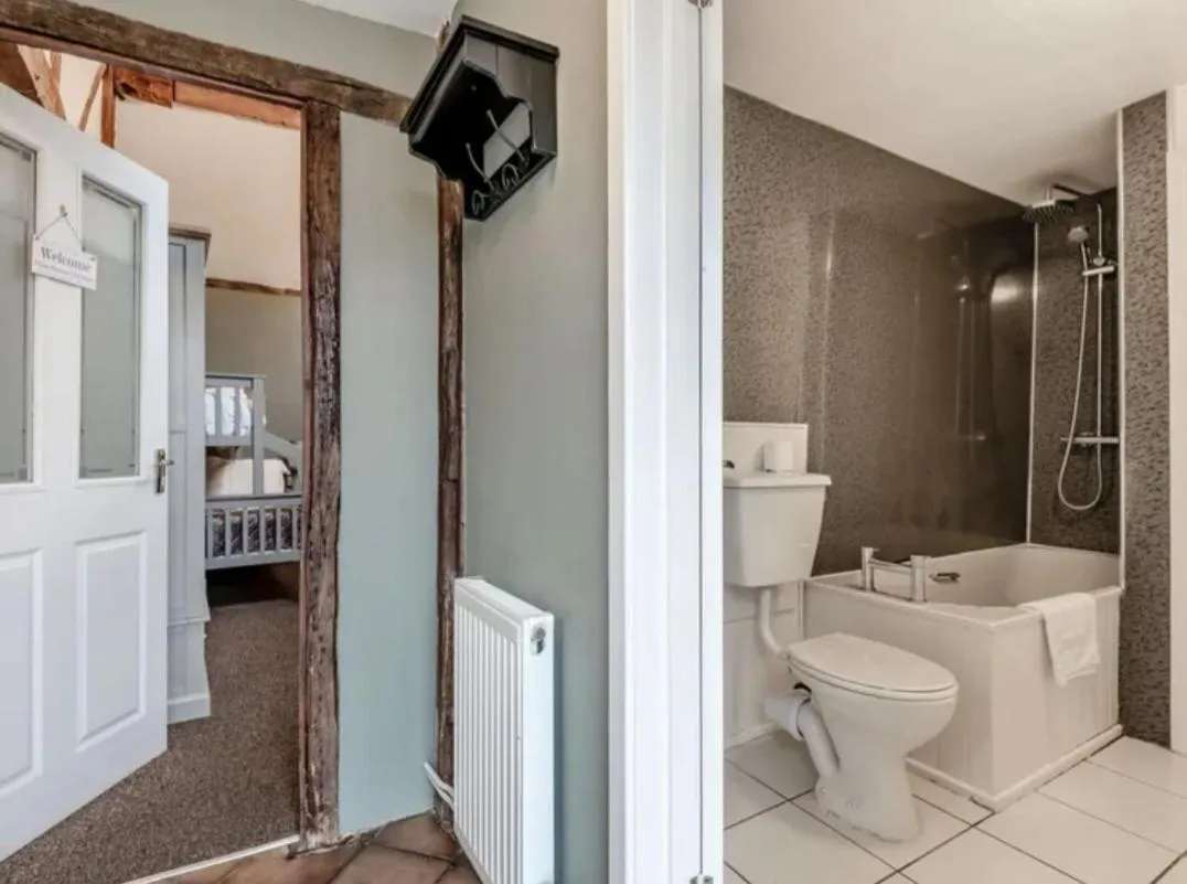 Curly Tail Accommodation