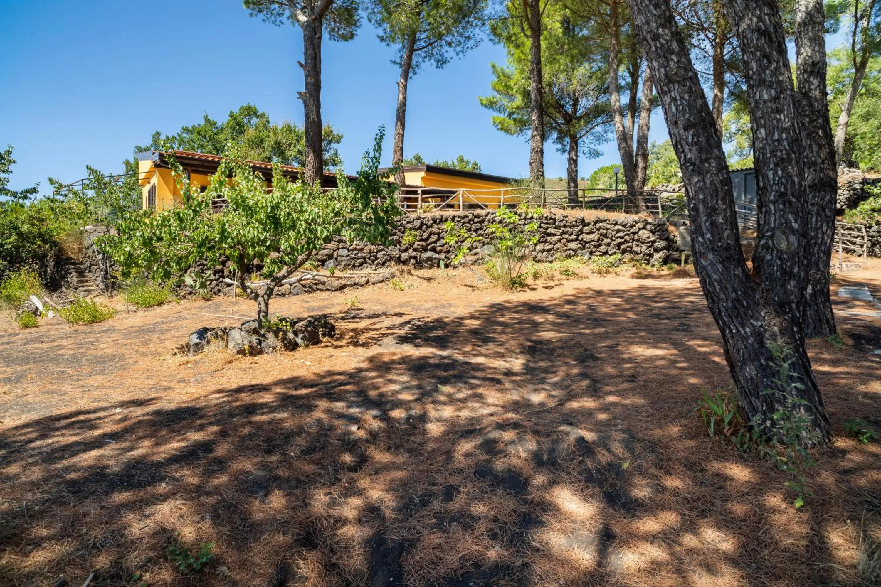 Property building in Etna Country Home - Cottage