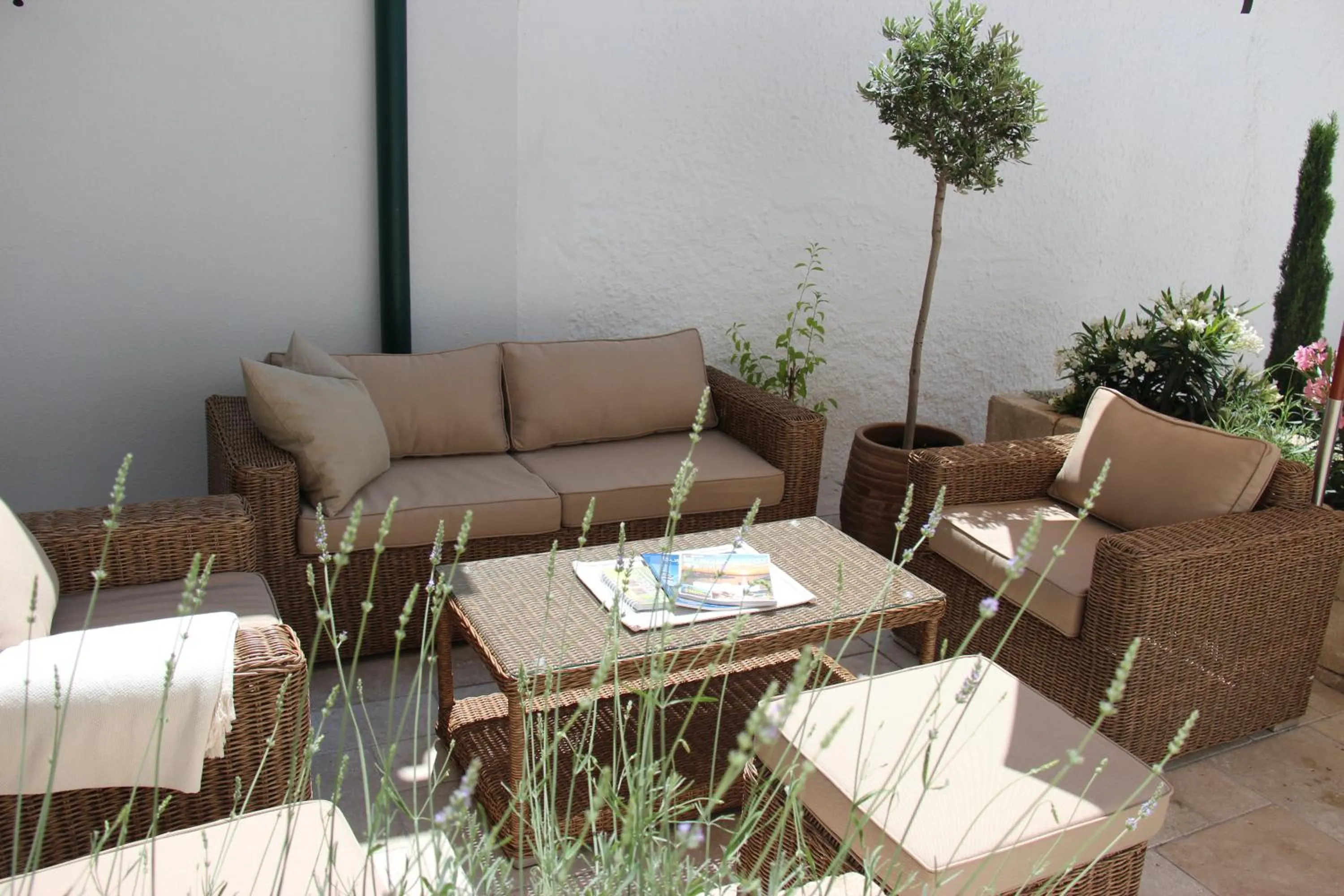 Patio in Haus Renée