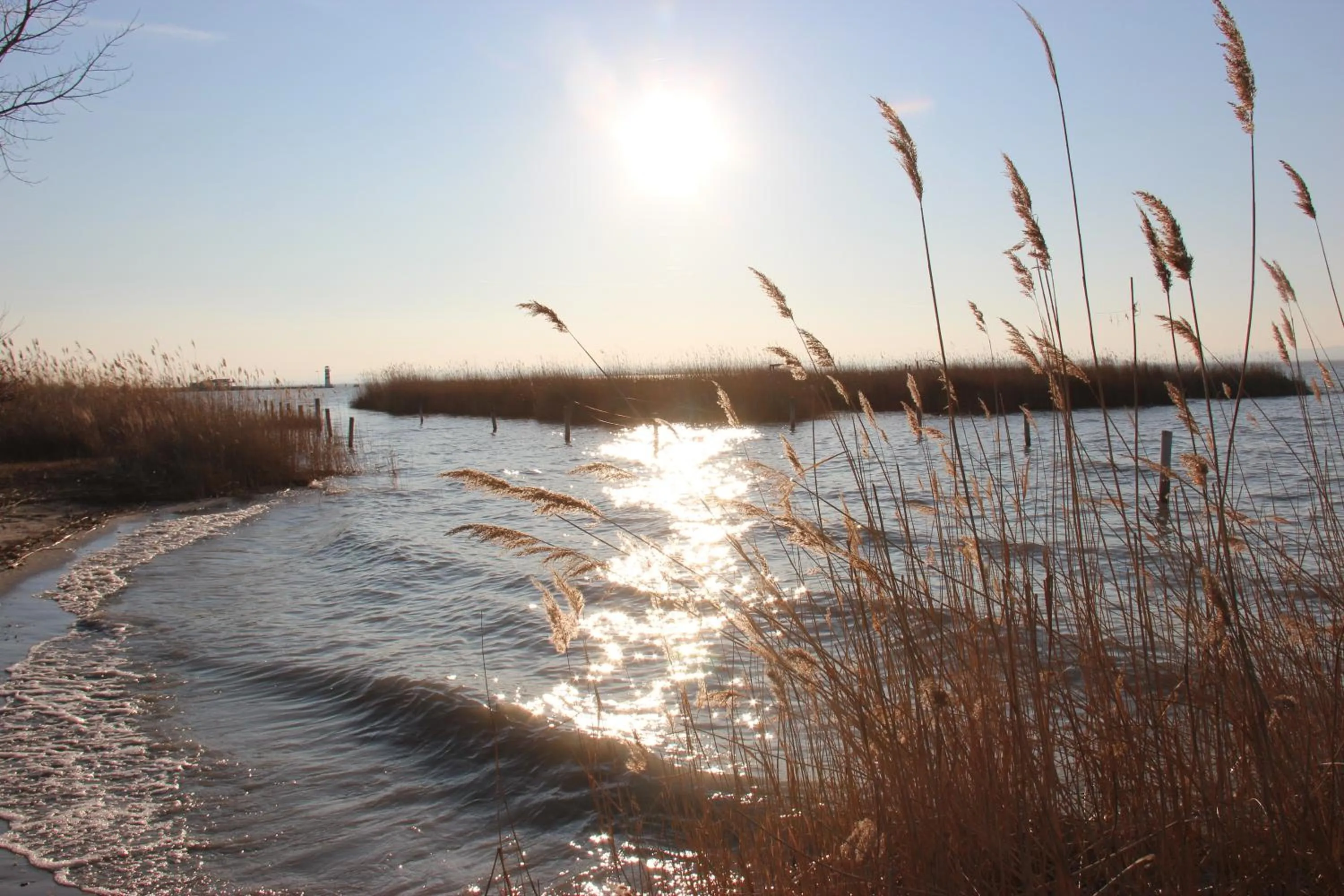 Beach in Haus Renée