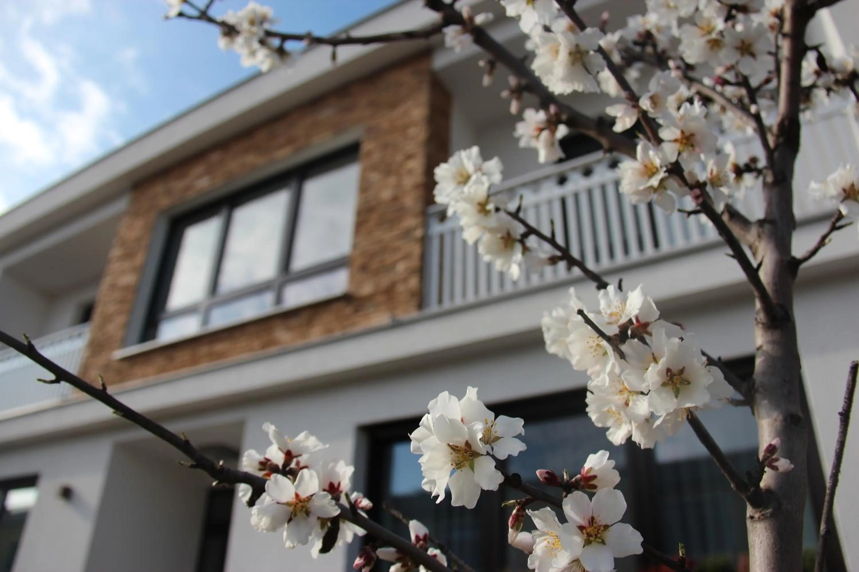 Property building in Haus Renée