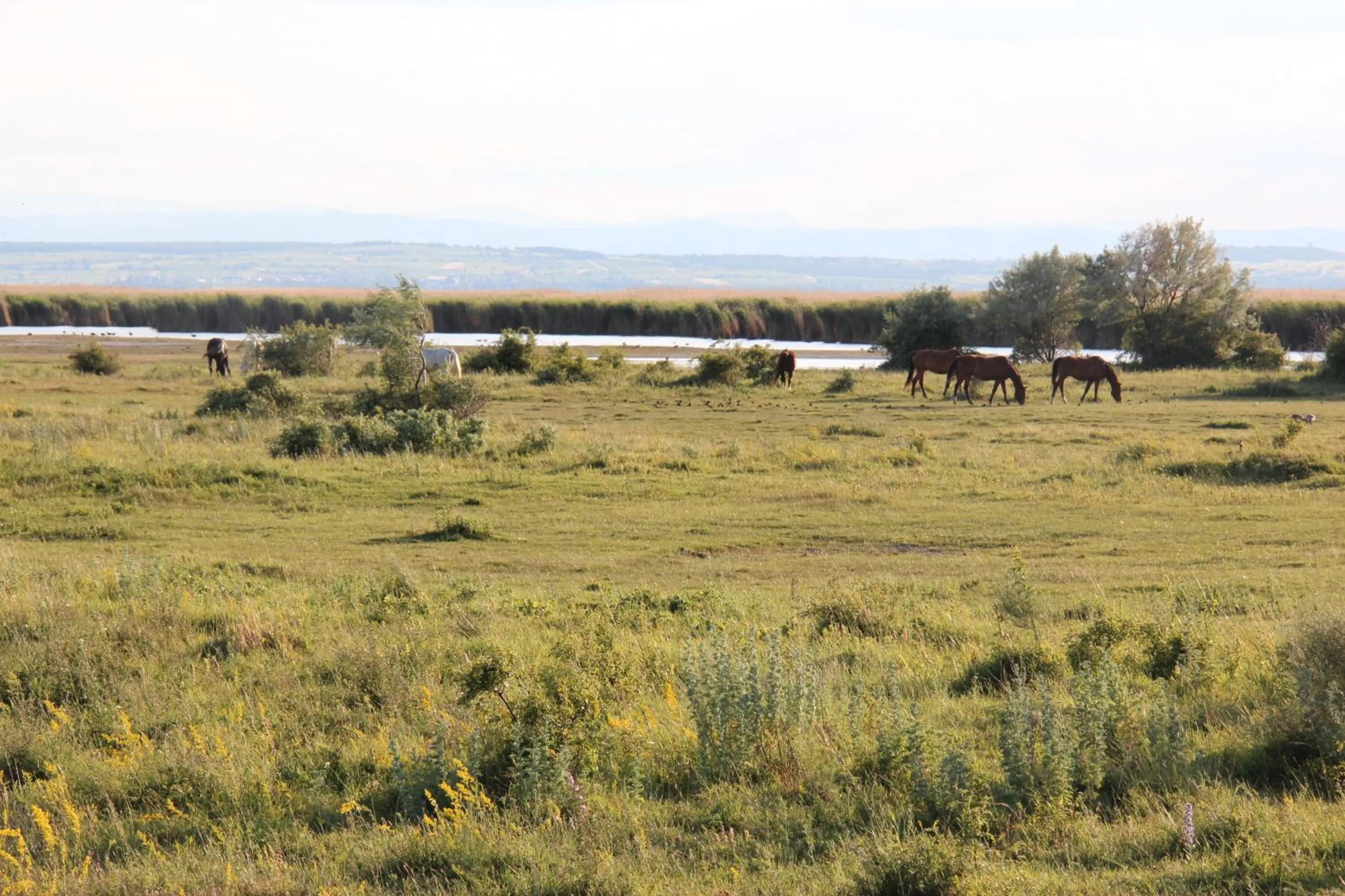 Natural landscape in Haus Renée