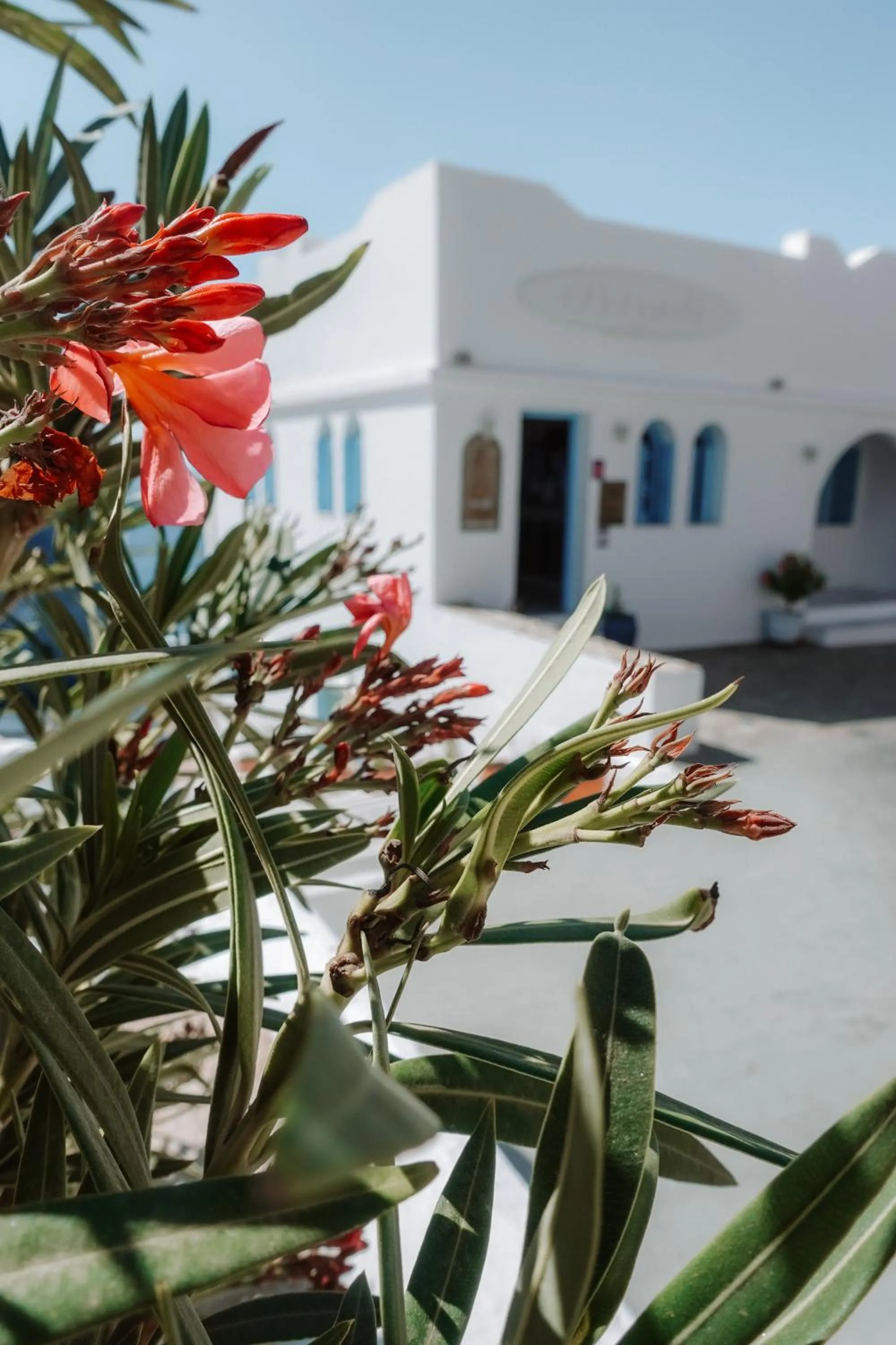 Property building in Hotel Petradi