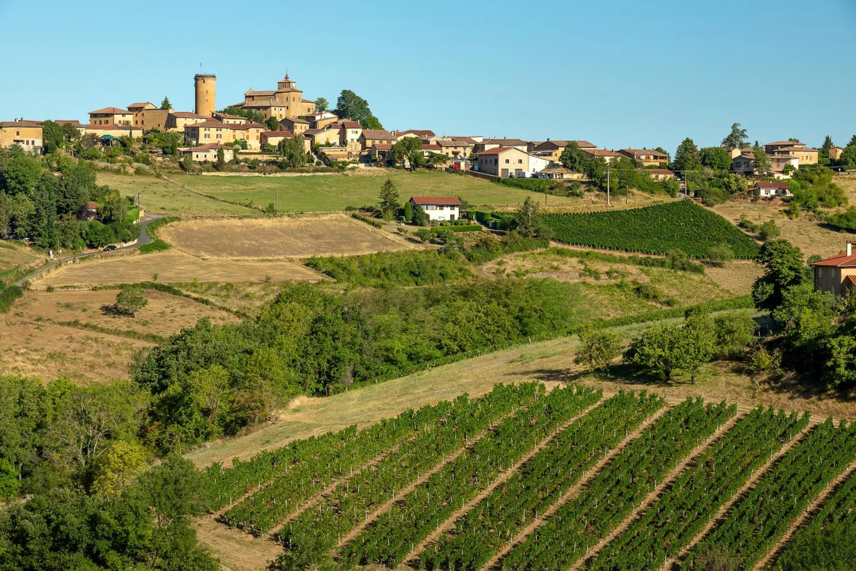 Hiking in Le Clos Des Anges