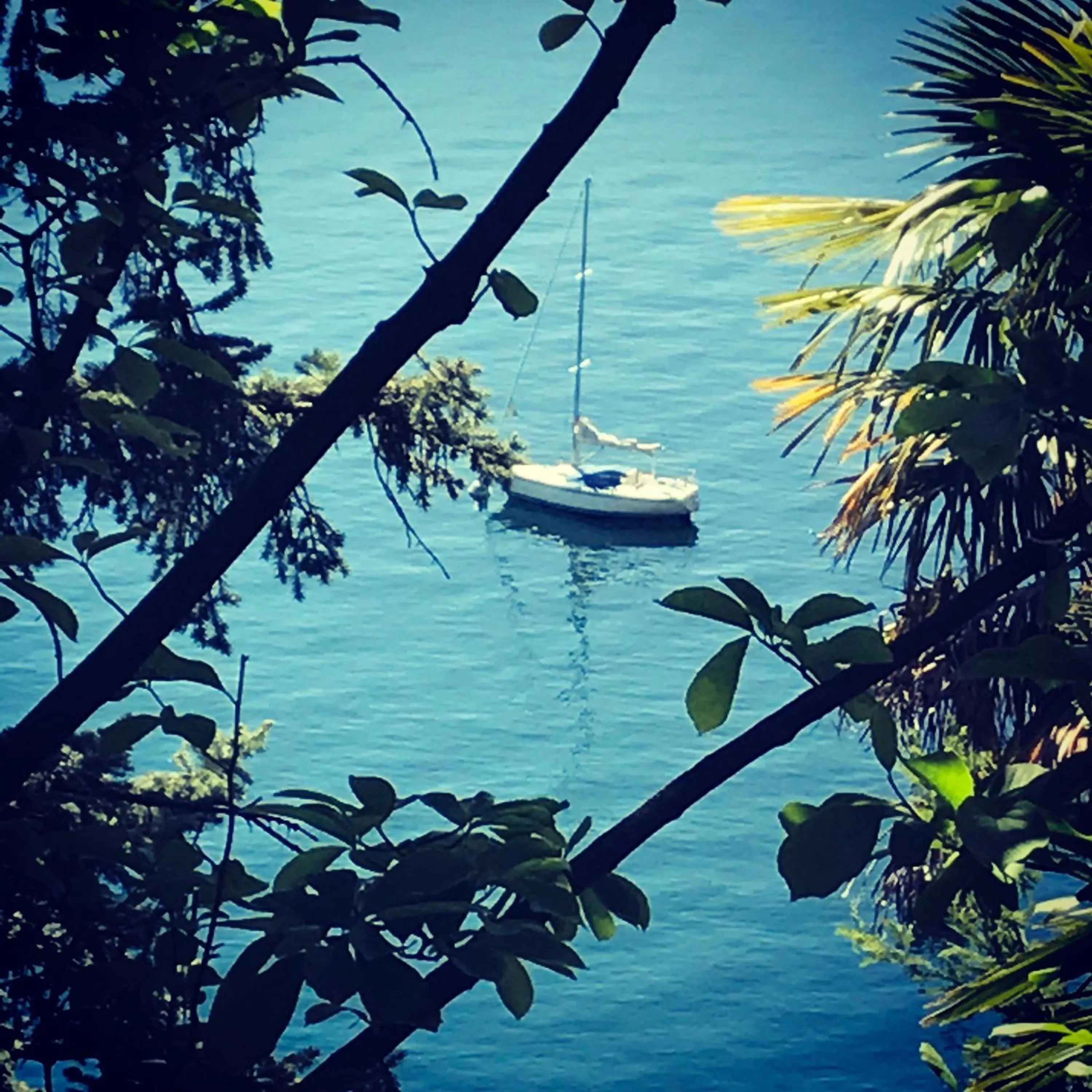 Natural landscape in Villa Angelina