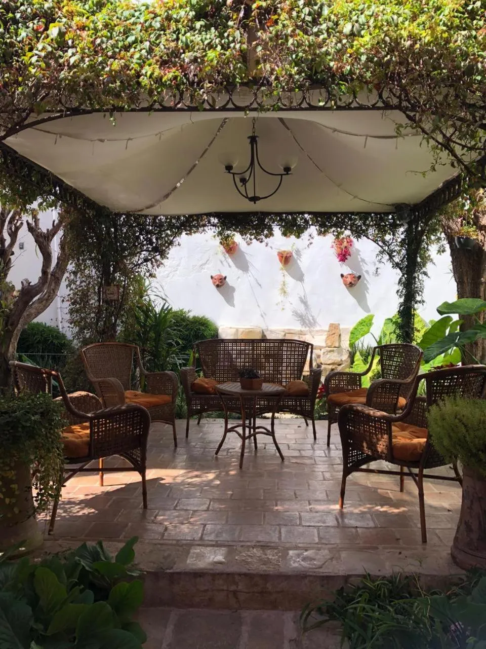 Garden in Posada Real de Chiapas