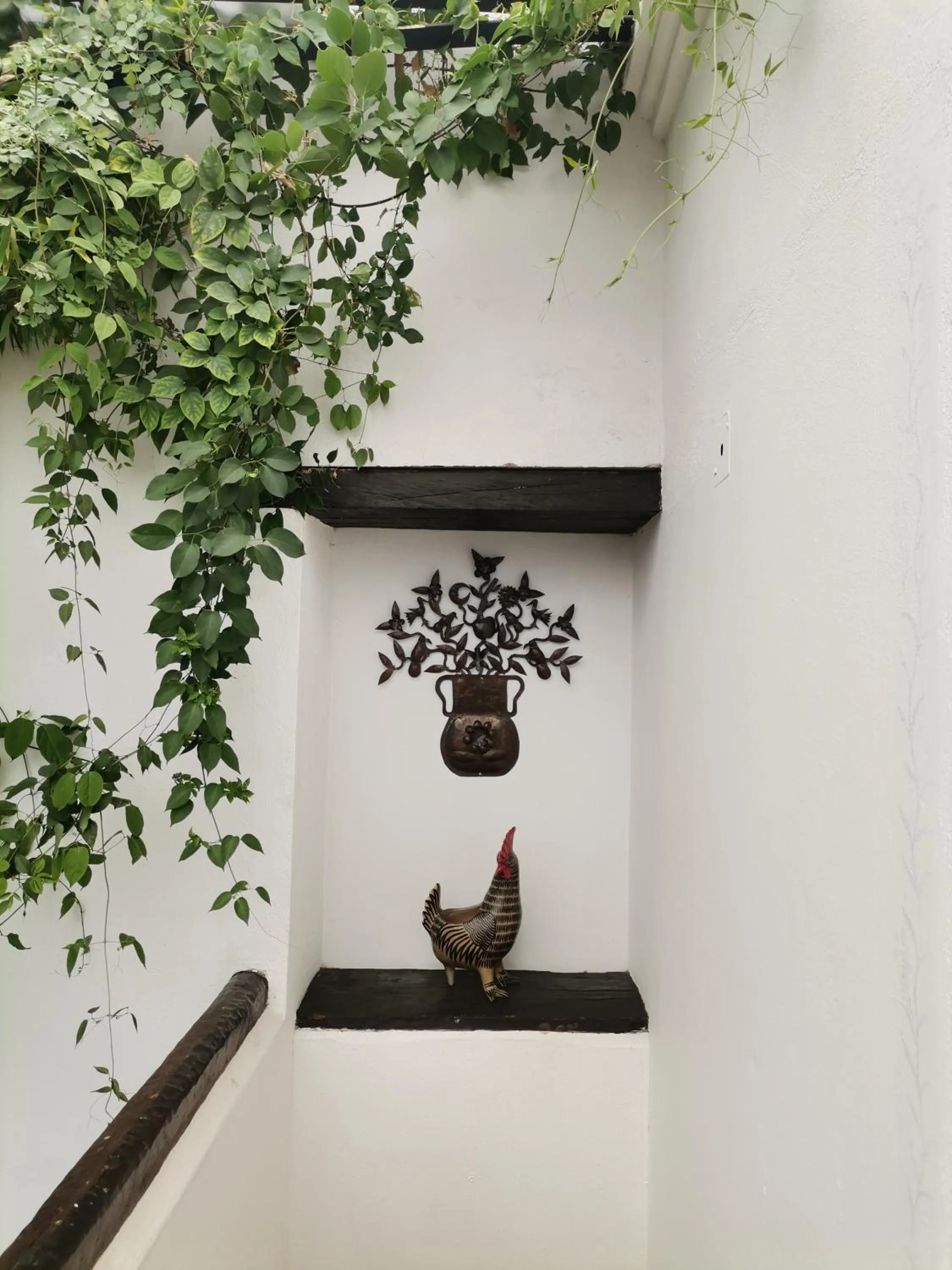 Day in Mision Grand San Cristobal de las Casas