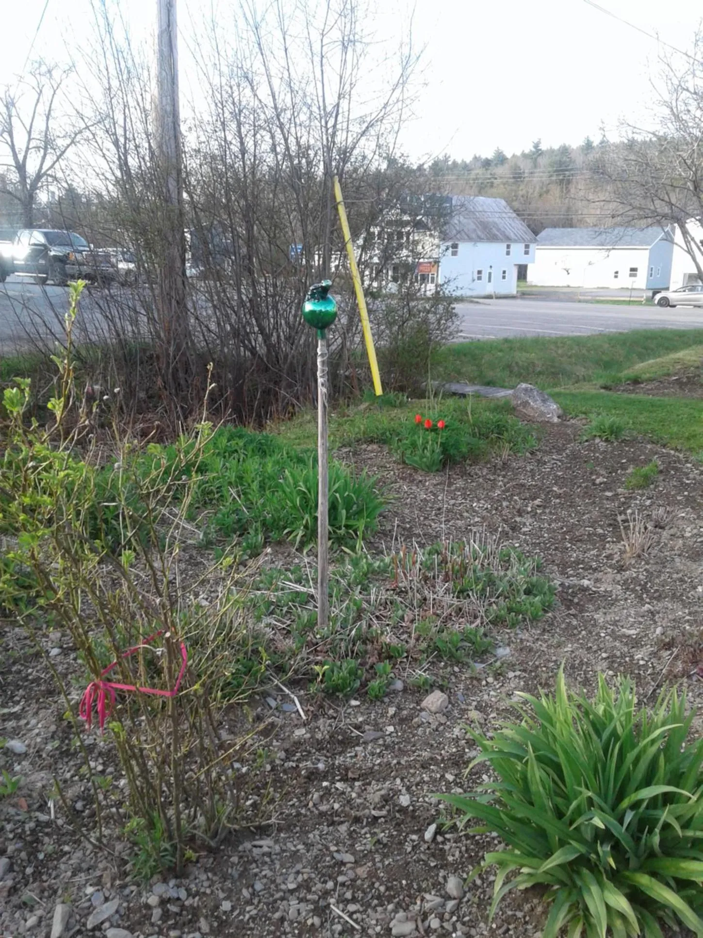 Garden in B&B Art of Germany