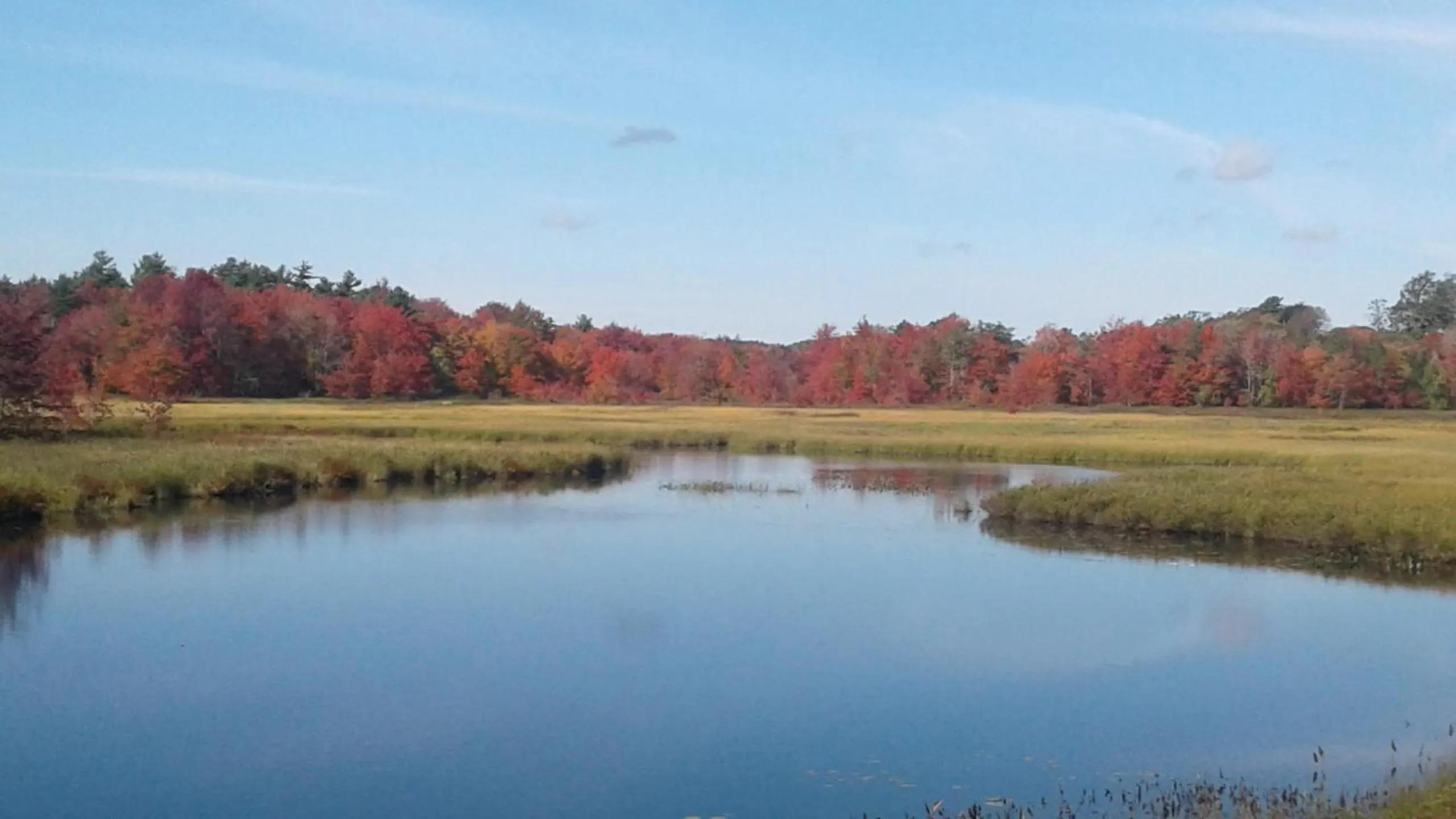 Natural landscape in B&B Art of Germany