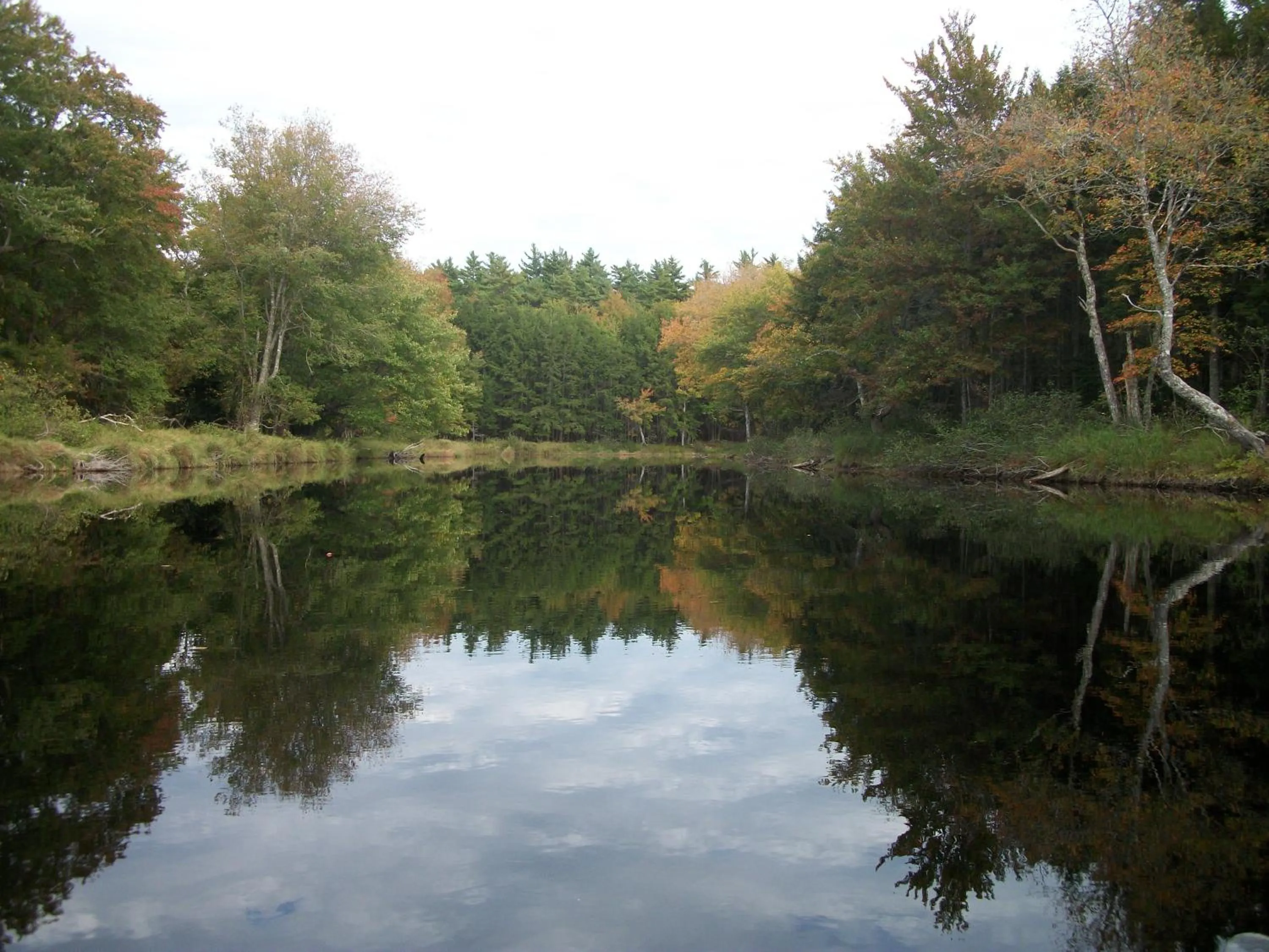 Natural landscape in B&B Art of Germany