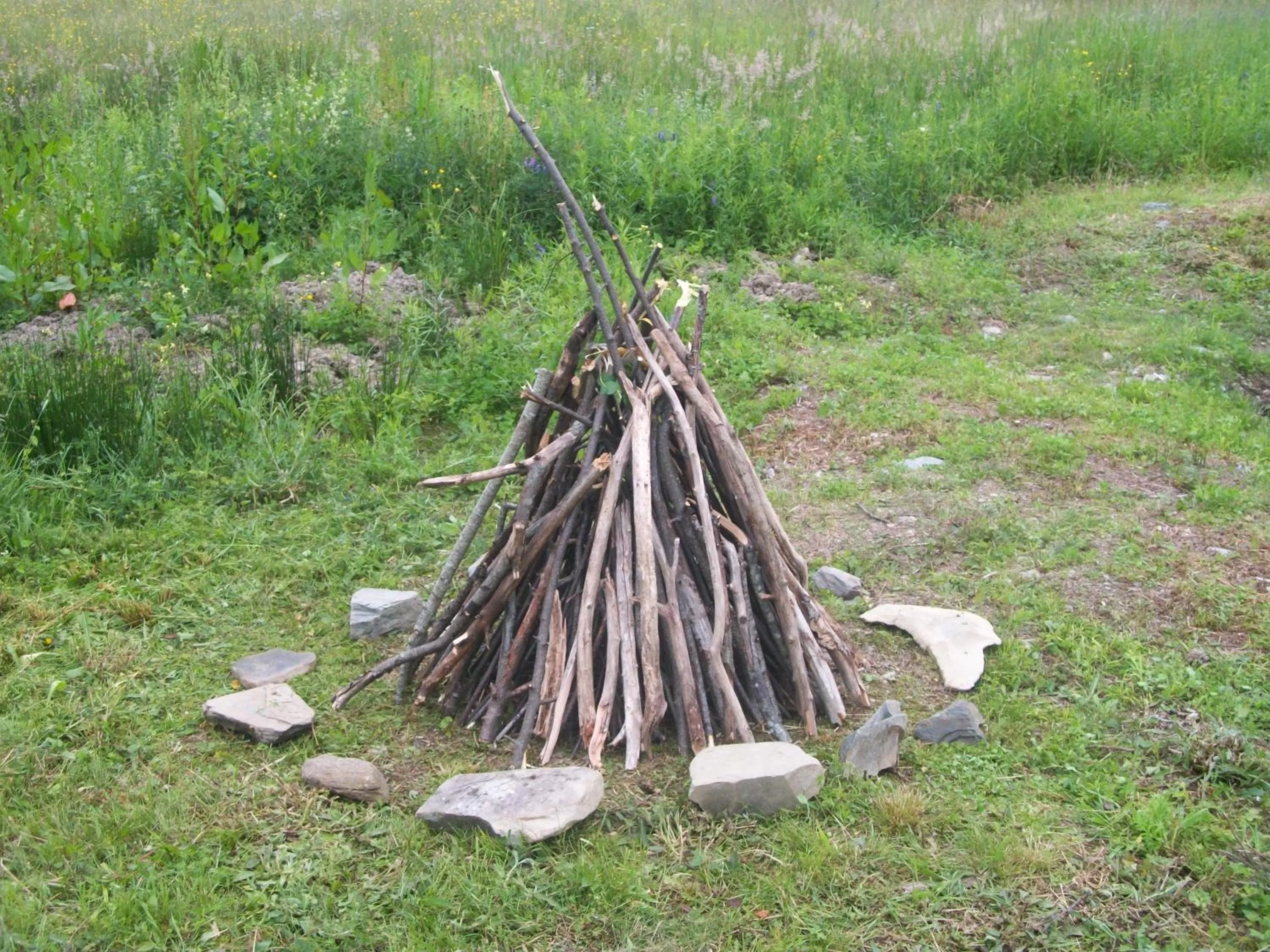 Activities in B&B Art of Germany