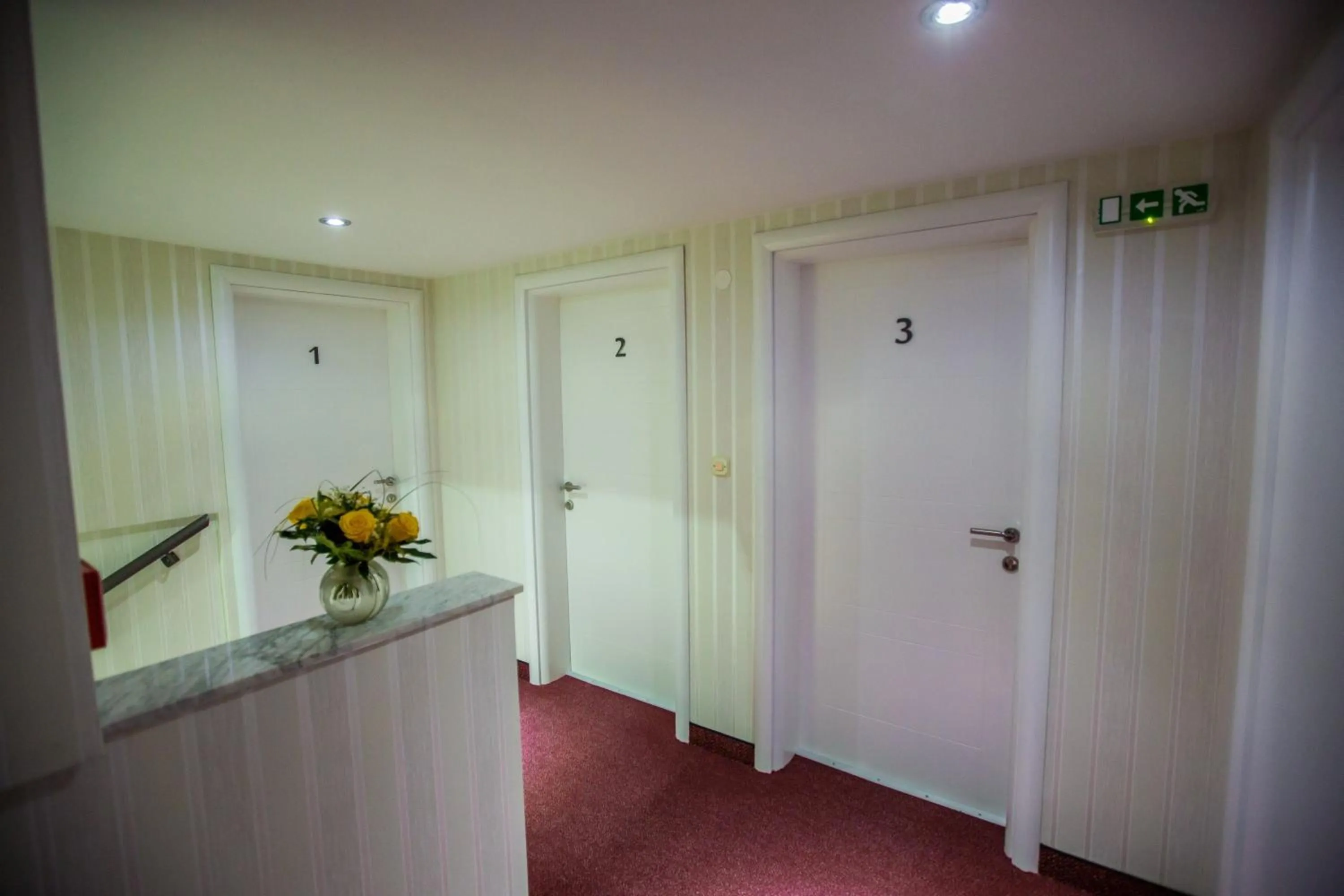 Apartments and Rooms Millennium