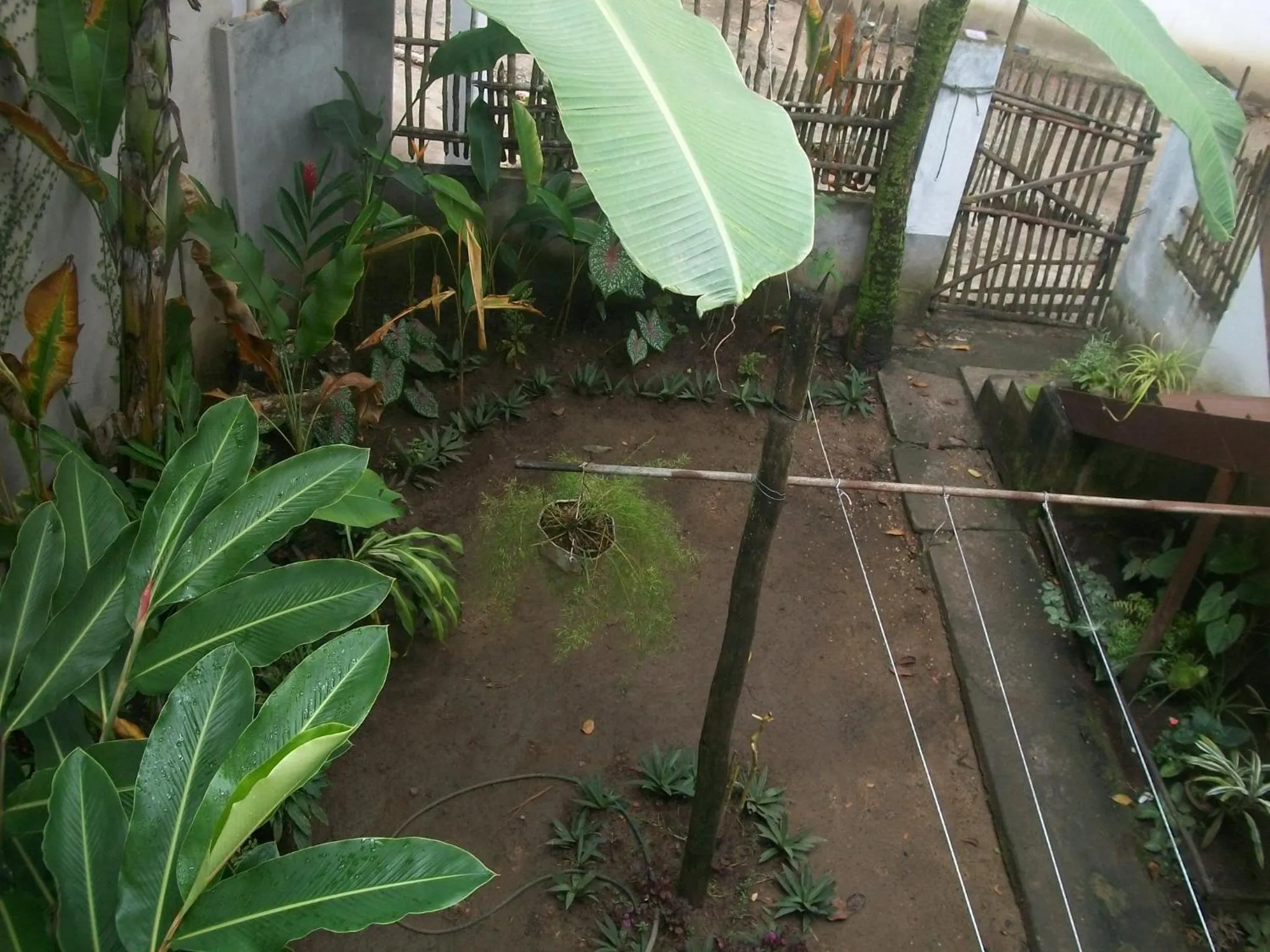 Garden in Casa da Jaca 1