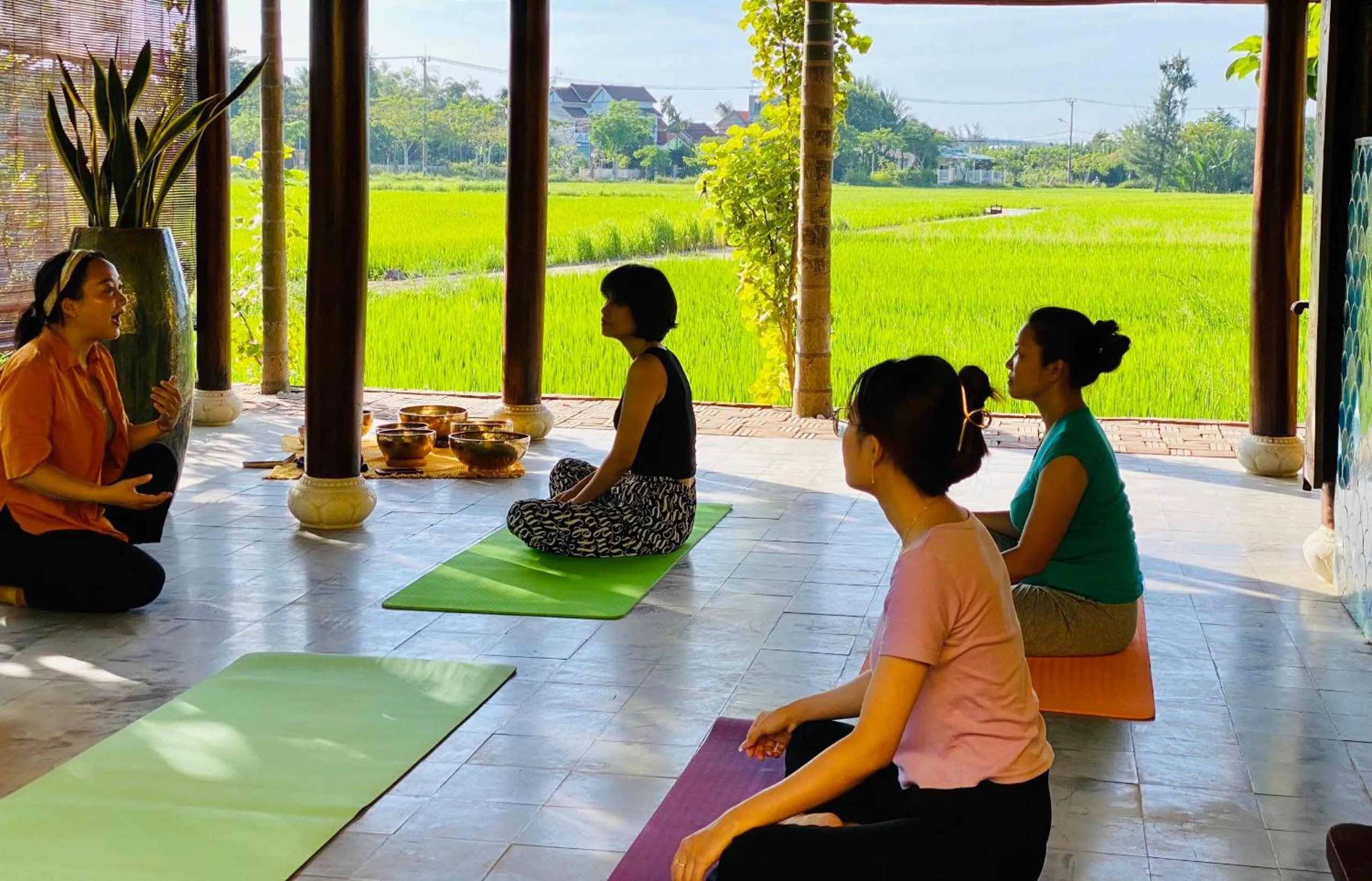 Activities in Chez Mimosa Rice Field Retreat