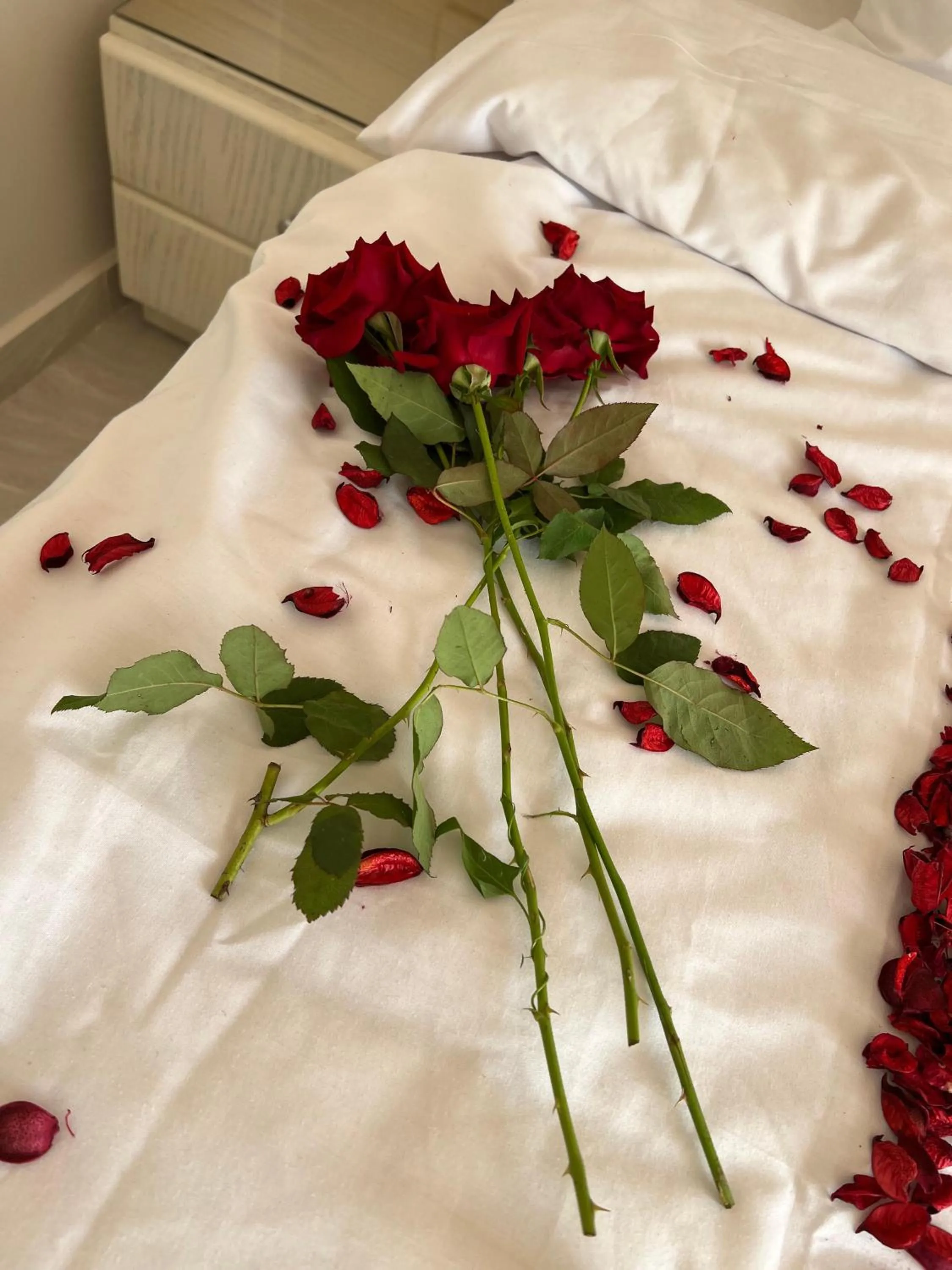 Bedroom, Bed in Pyramids Land Hotel