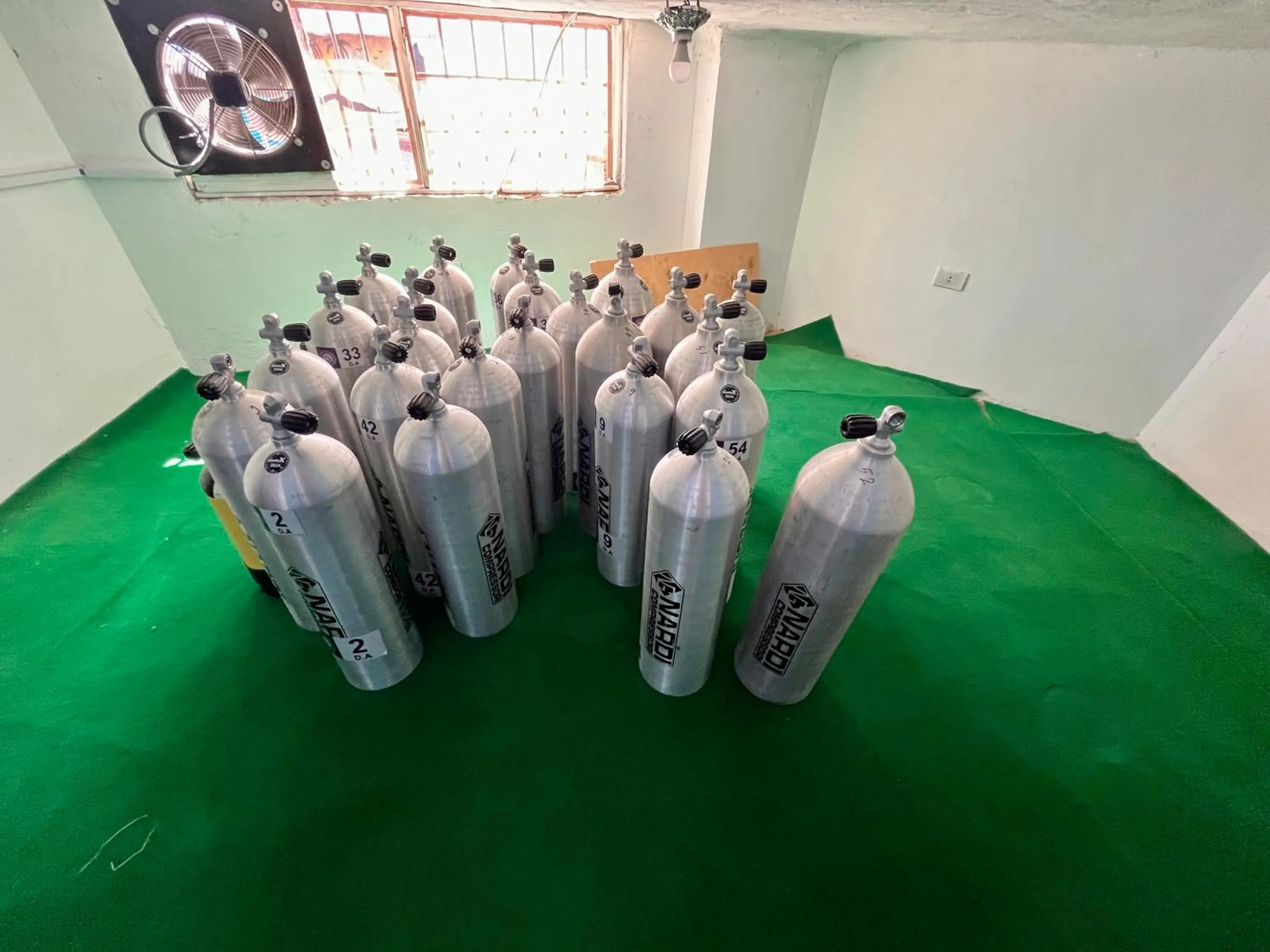 Diving in Star House Hotel