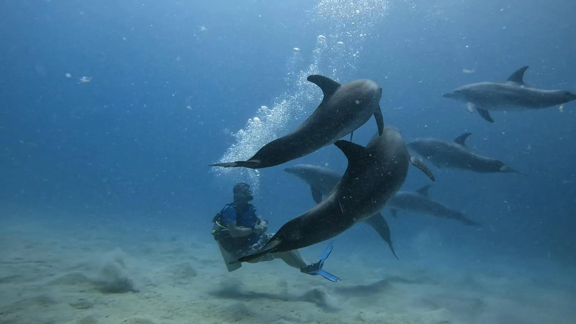 Sports in Star House Hotel