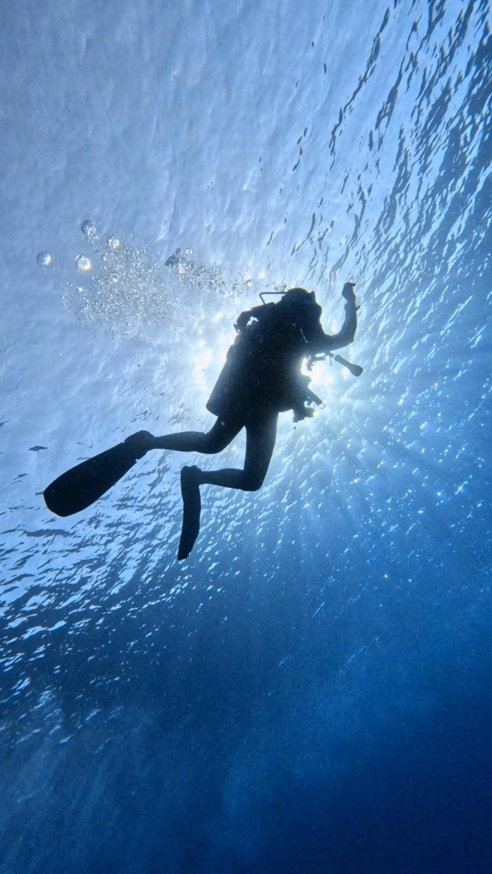 Sports in Star House Hotel