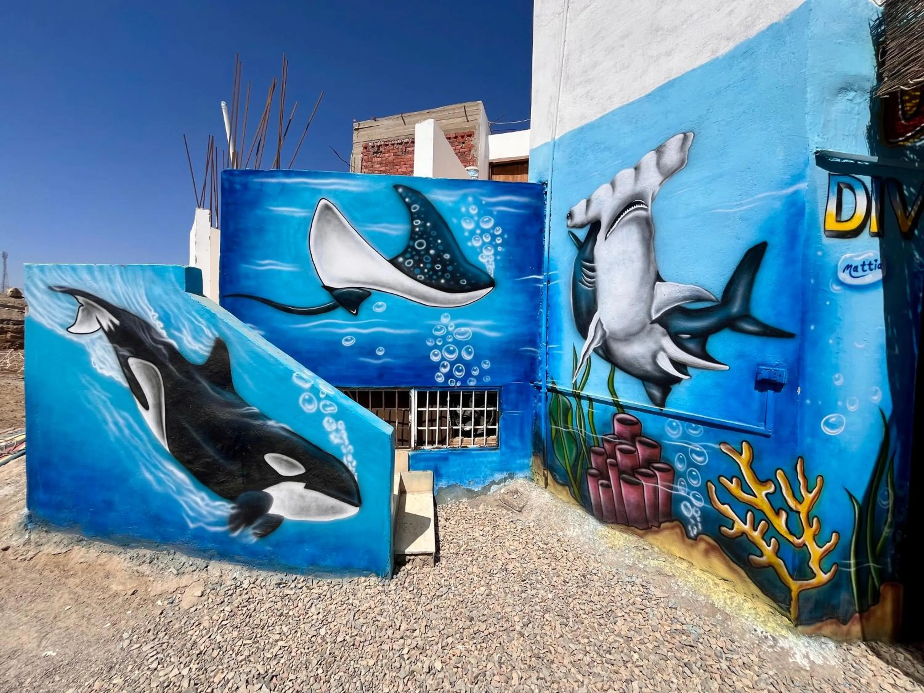 Diving in Star House Hotel