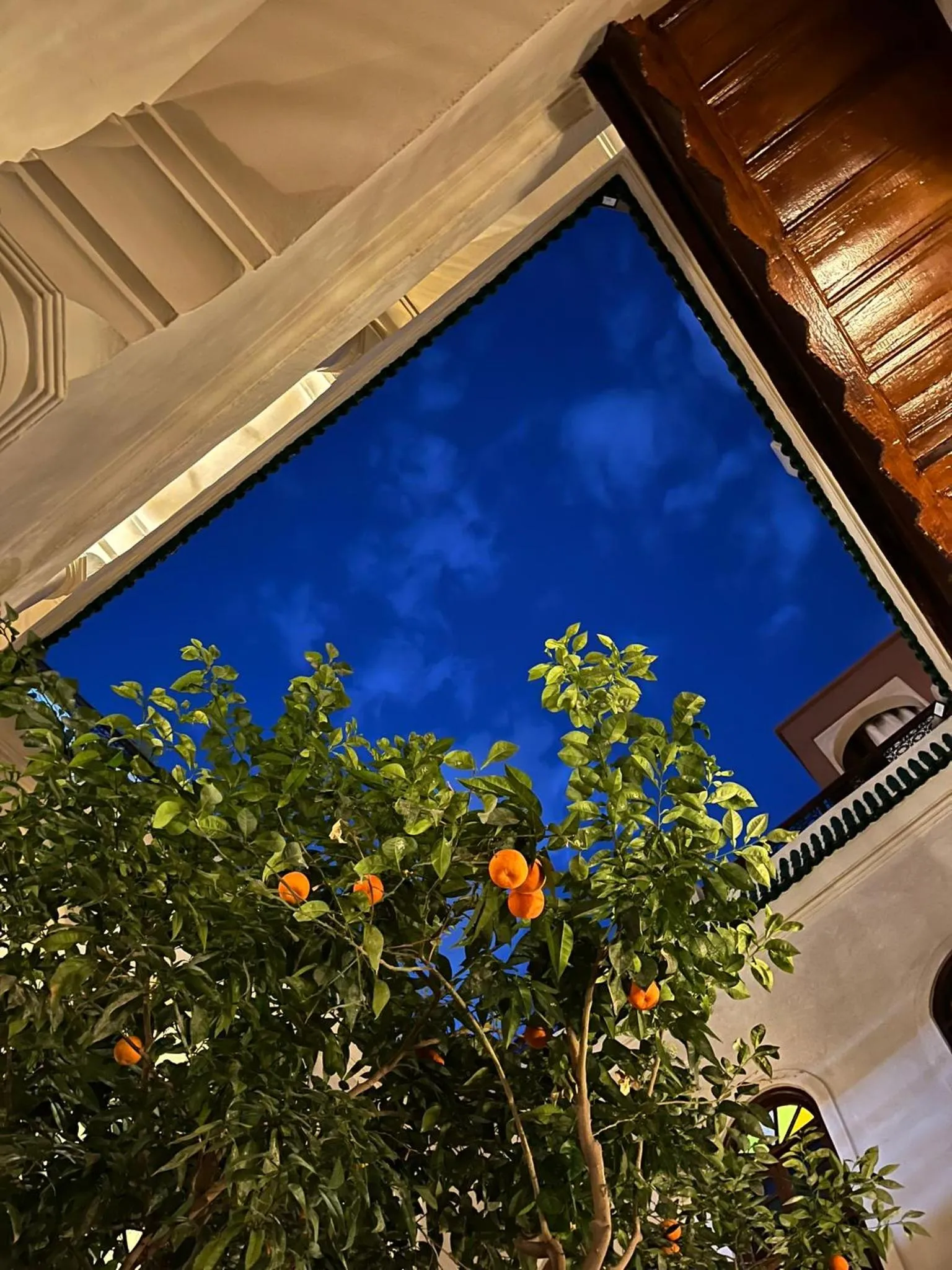 Garden in Riad Dar Zaouia