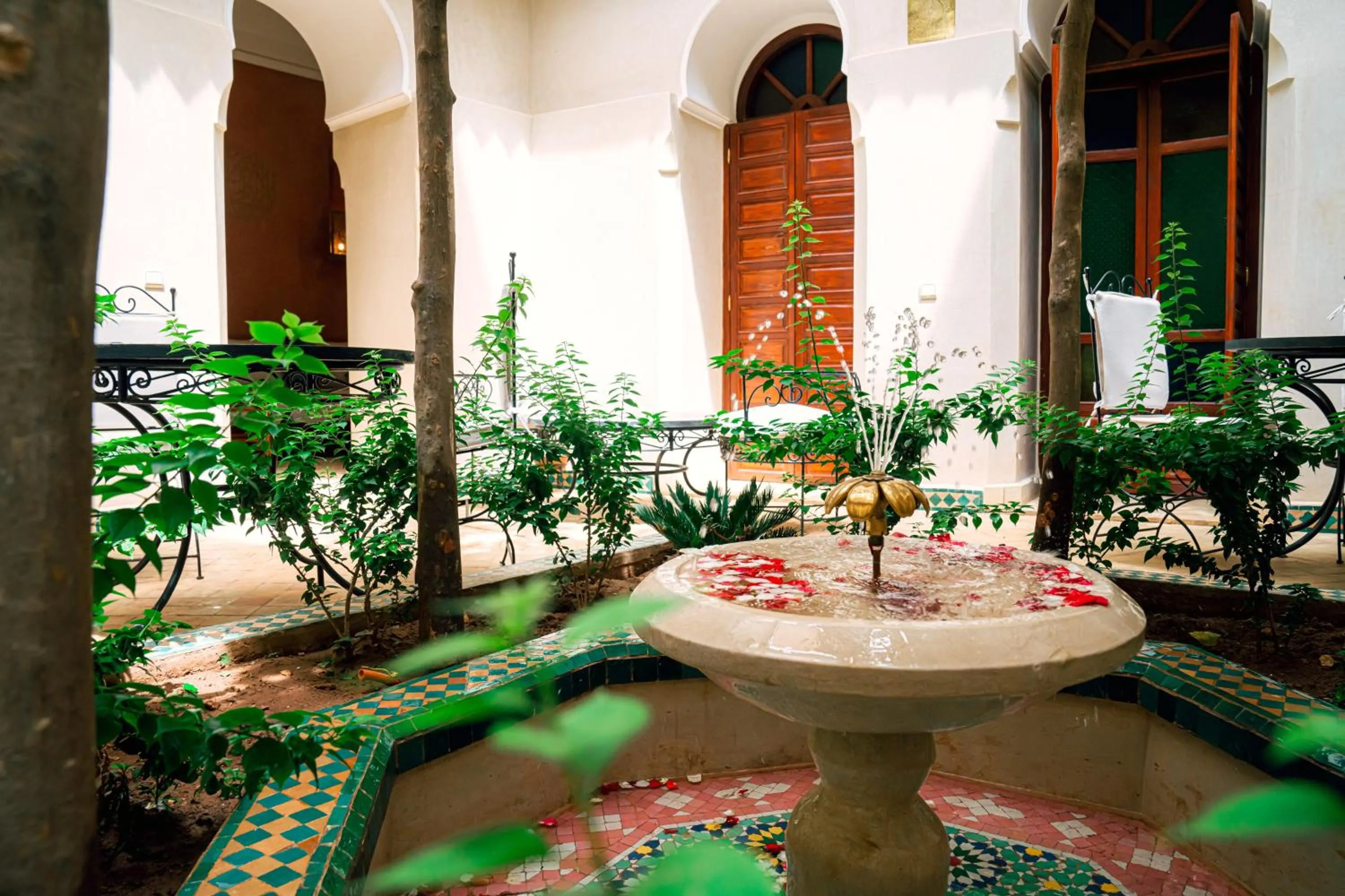 Garden in Riad Dar Zaouia